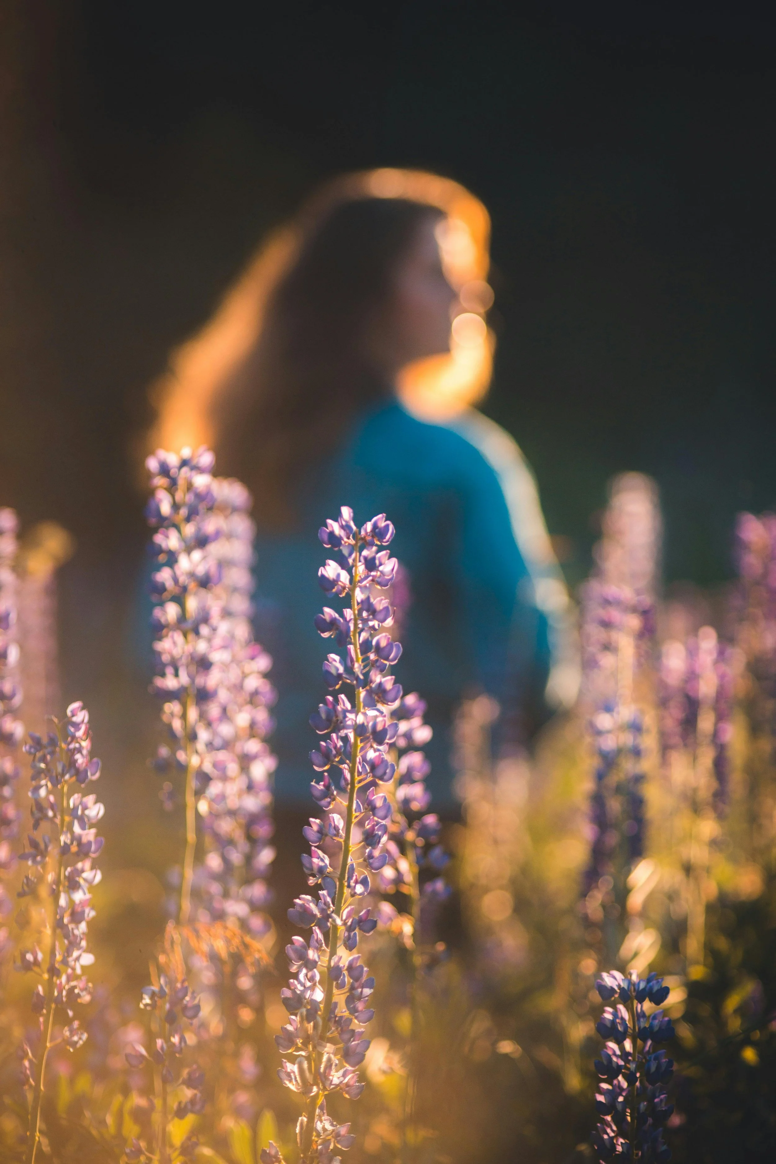 A woman standing among purple flowers at sunset with blurred background.