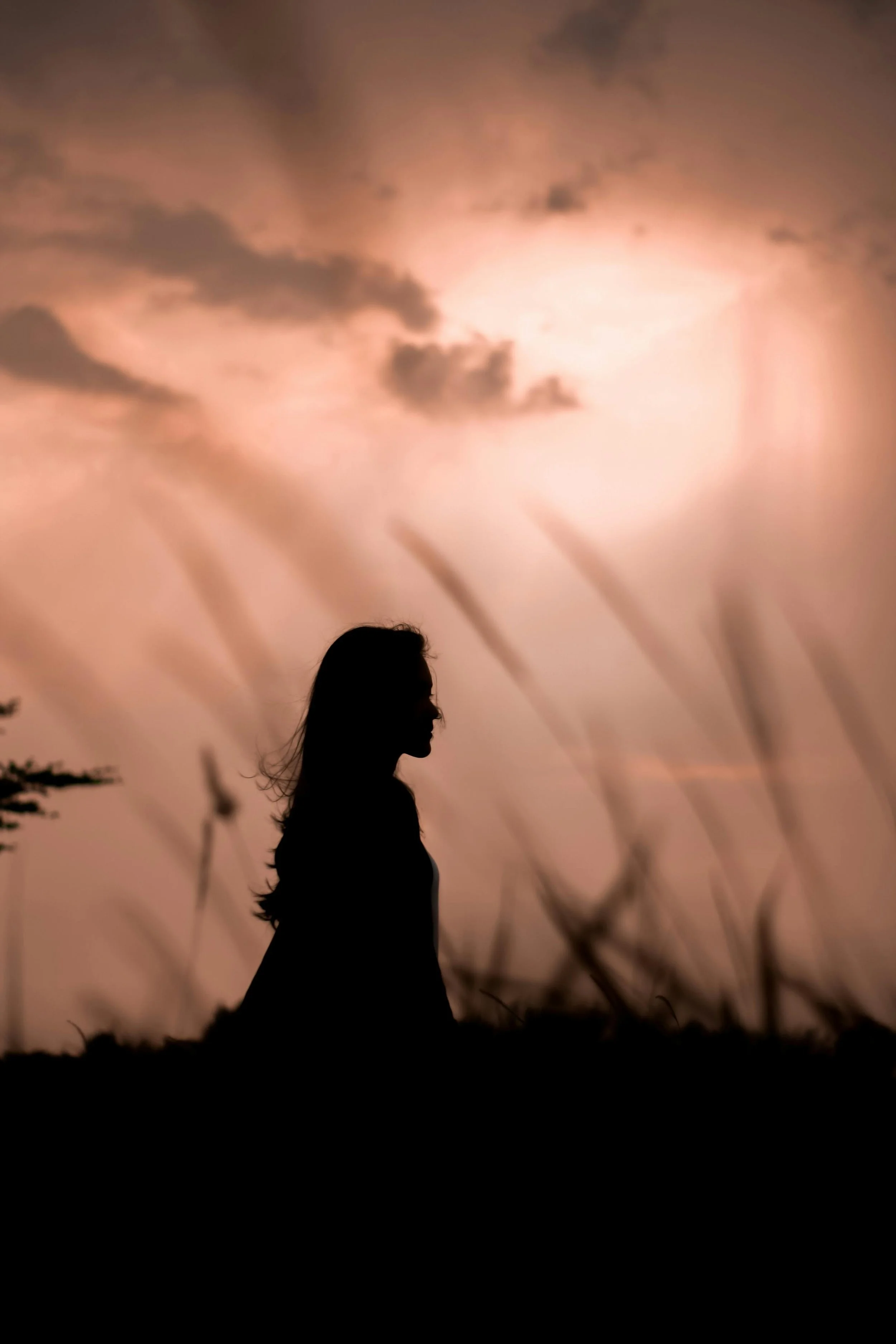 Silhouette of a woman with long hair standing on a hill at dusk, with a cloudy sky illuminated by the setting sun, tall grass in the foreground.