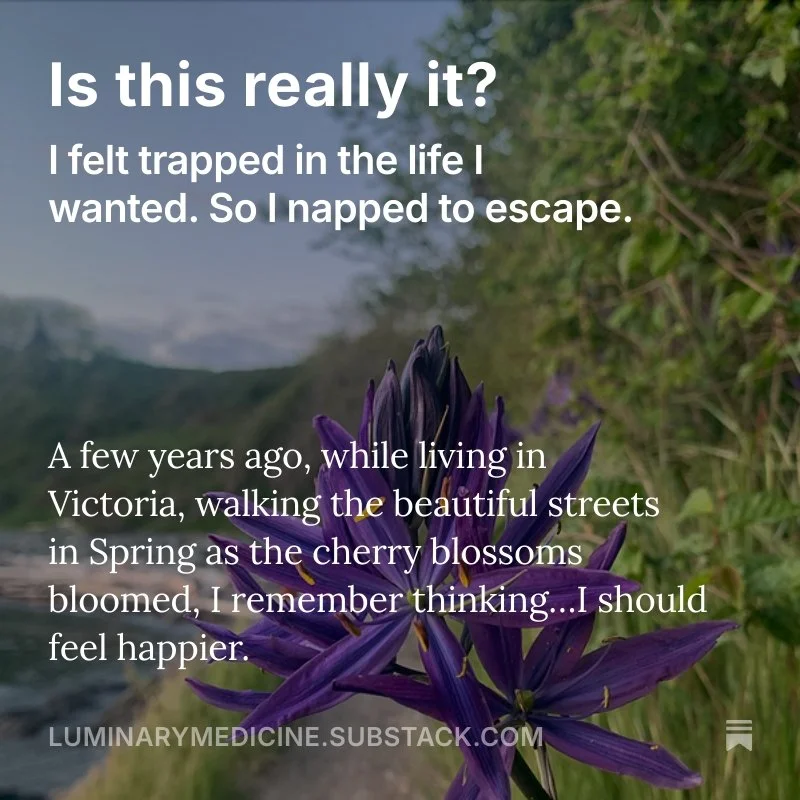 Close-up of a purple flower bush with a blurred natural background. Overlaid text asks, 'Is this really it?' and reflects on a past experience walking in Victoria during spring.