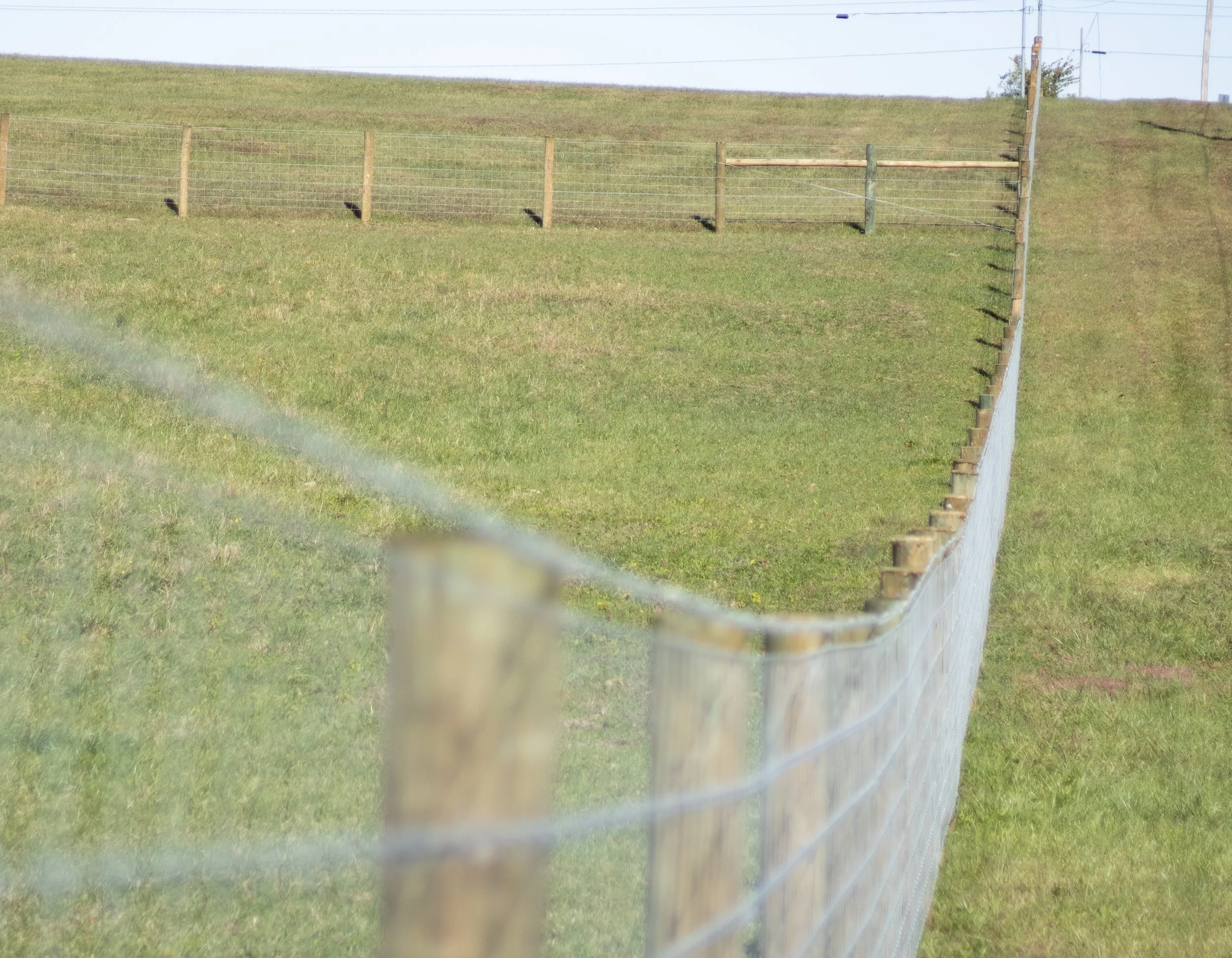 A fence running along a grassy hillside in a rural area, with a gentle slope and a few power lines in the background.