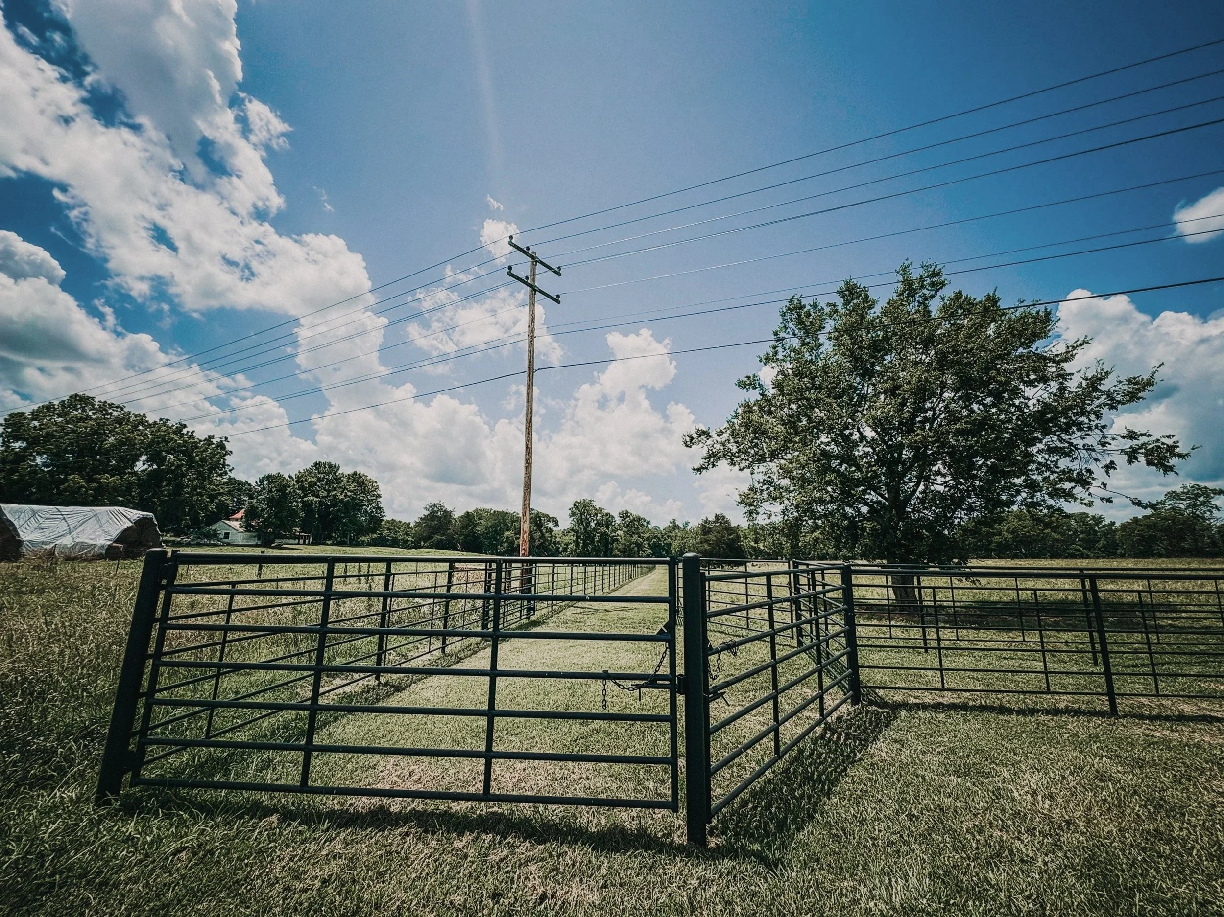 A rural farm scene with a metal gate in the foreground, grassy fields, a tree, power lines, and a partly cloudy sky.