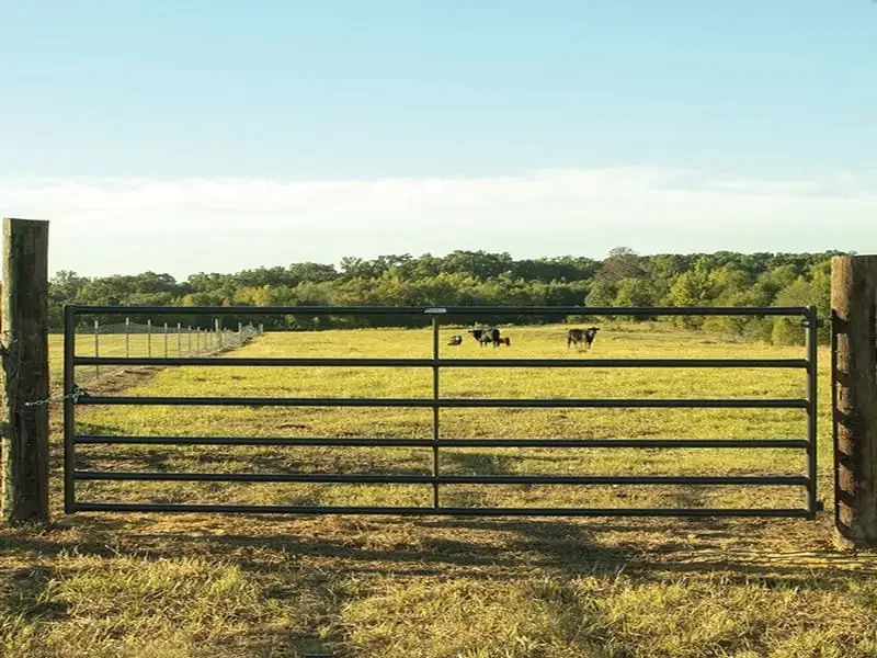 A black metal farm gate in front of a grassy field with cows grazing, surrounded by wooden posts, with trees and blue sky in the background.