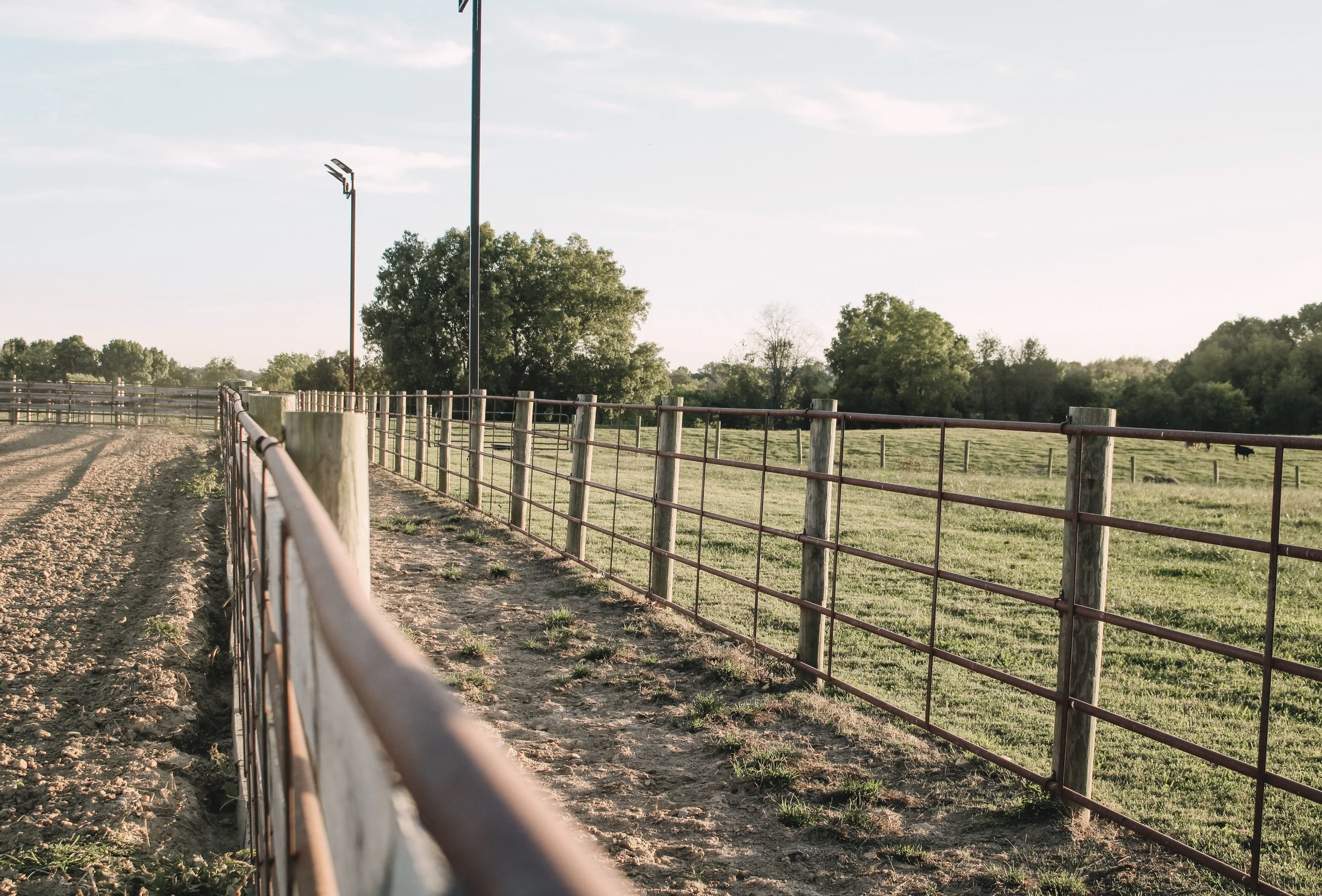 A fenced outdoor area on a farm with a dirt path and green pastures, trees, and a partly cloudy sky in the background.