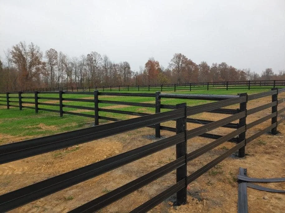 A fenced outdoor area with black wooden fences and green grass patches, with leafless trees in the background under a cloudy sky.
