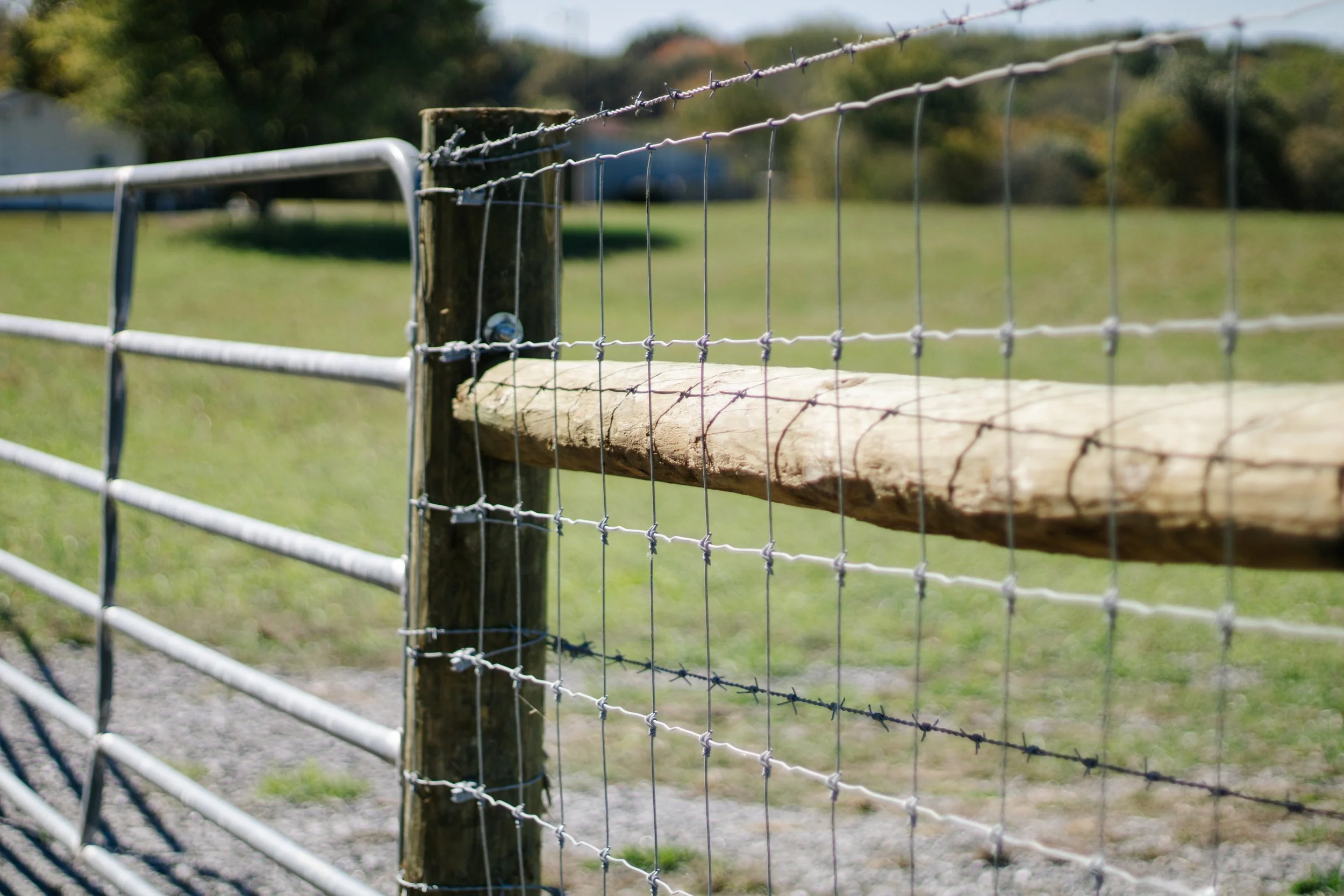 farm fence with gate in pastures