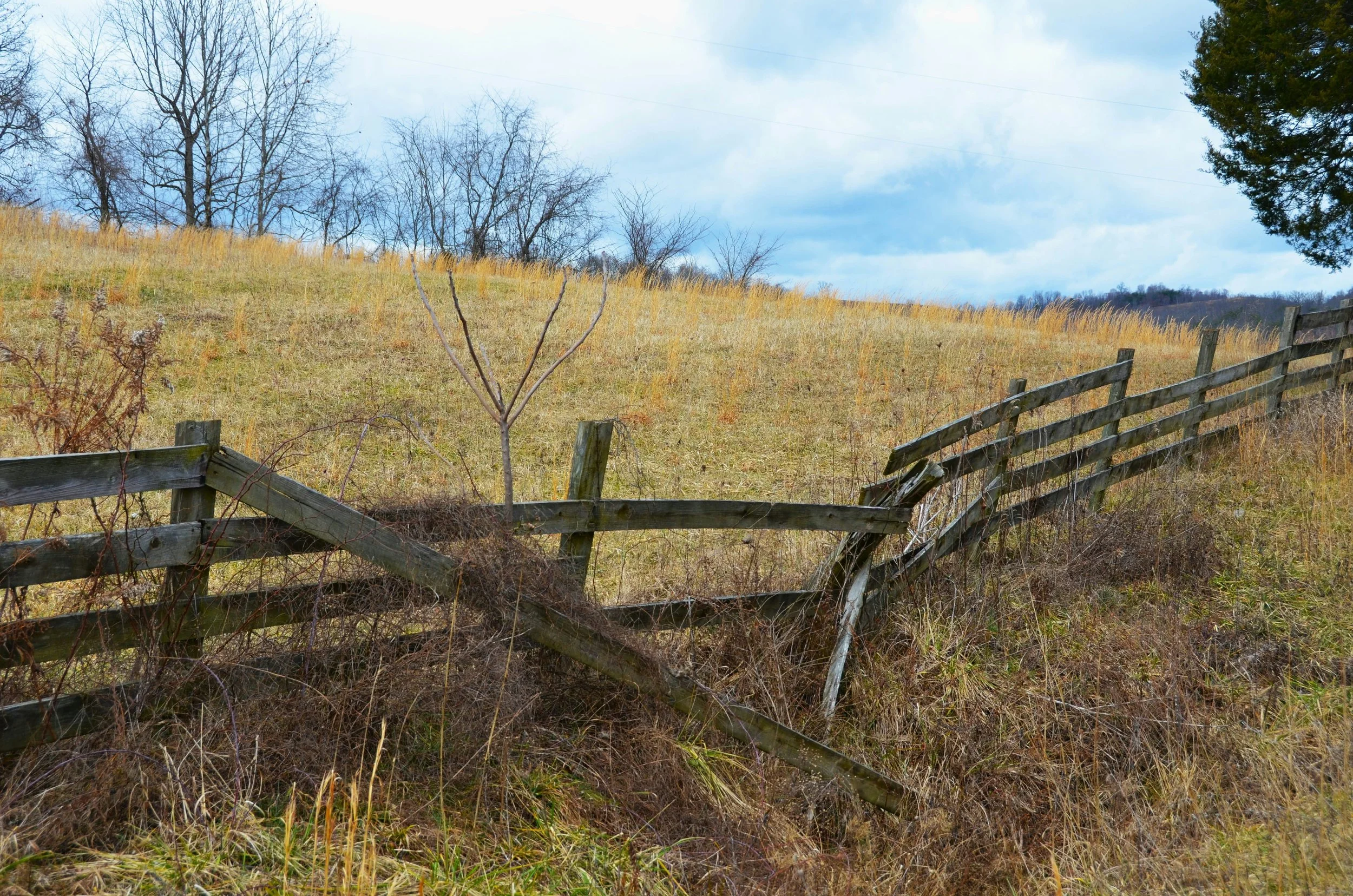Storm-damaged fence section needing repair