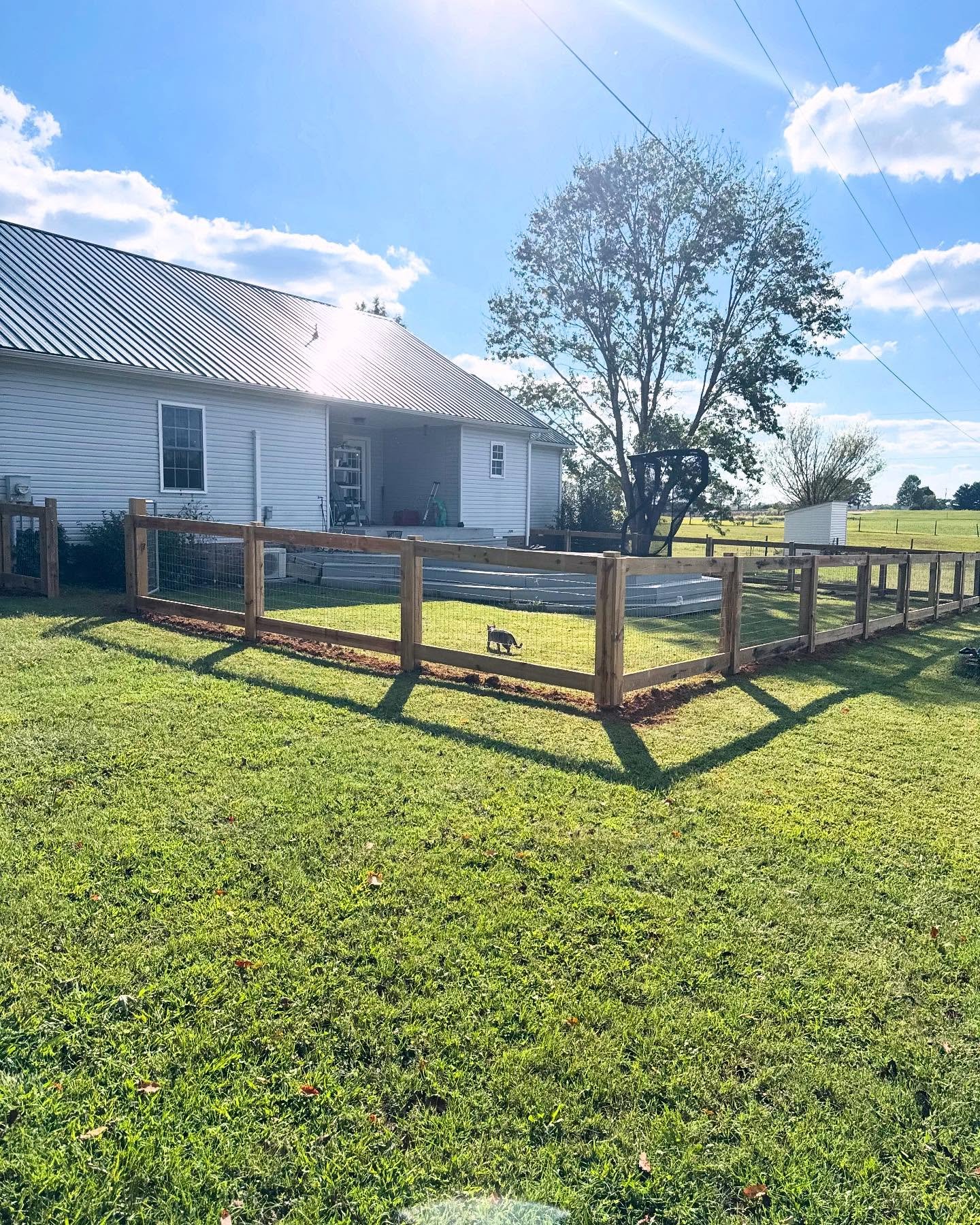 A backyard with a newly built wooden fence, a white house with a metal roof, a large tree, and a field in the background on a sunny day.