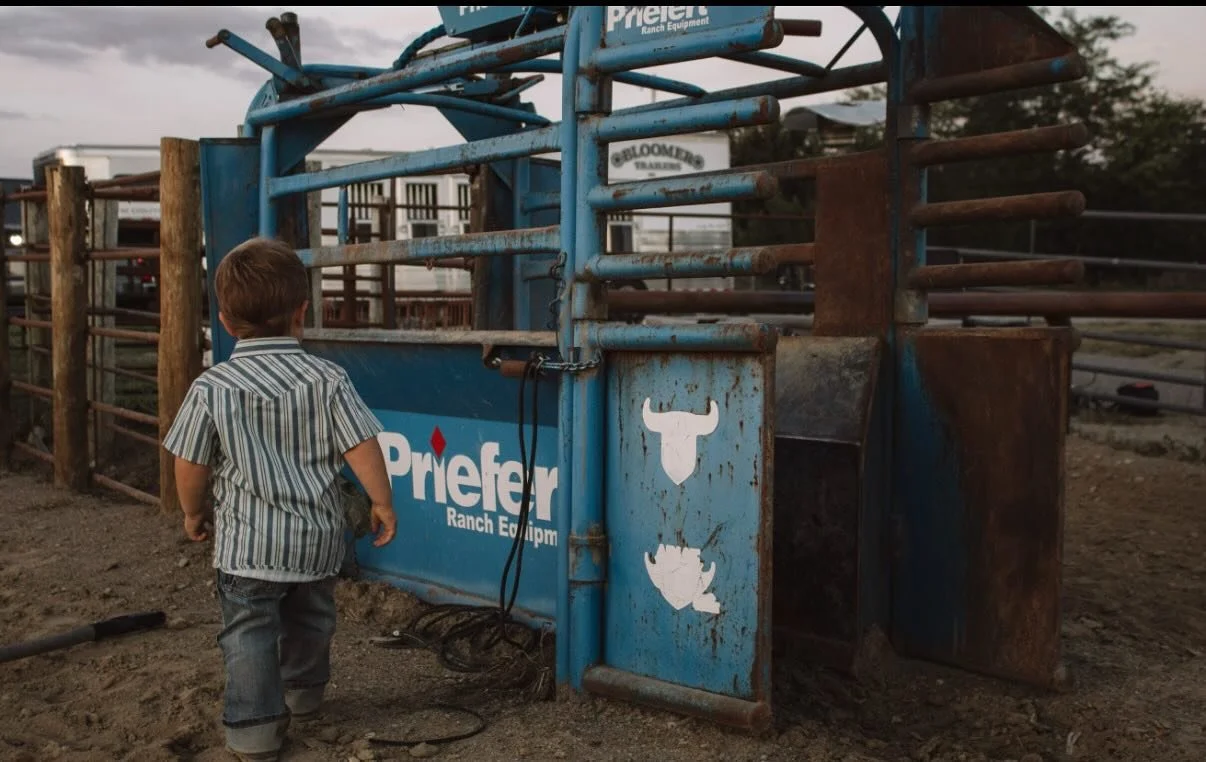 A young boy walking past a blue priefert cattle chute with a cattle head and cow symbols on it, at a ranch or farm.
