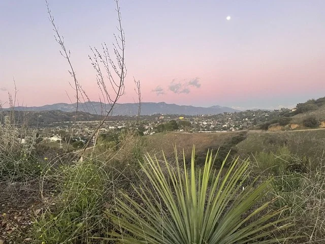Scenic landscape with distant hills, a small town in the valley, and a pink and purple sky during sunset or sunrise. Foreground features desert plants, including a large spiky plant and dry shrubs.