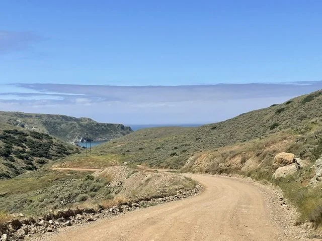 therapy page advertising anxiety and burnout therapy. Showing a scene in a trail with light blue and purple clouds and water in the distance.