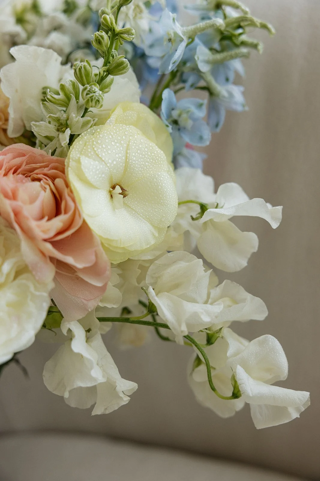Close-up of a bouquet of various pastel-colored flowers, including cream, pale pink, and light blue, with water droplets on some petals, set against a neutral background.