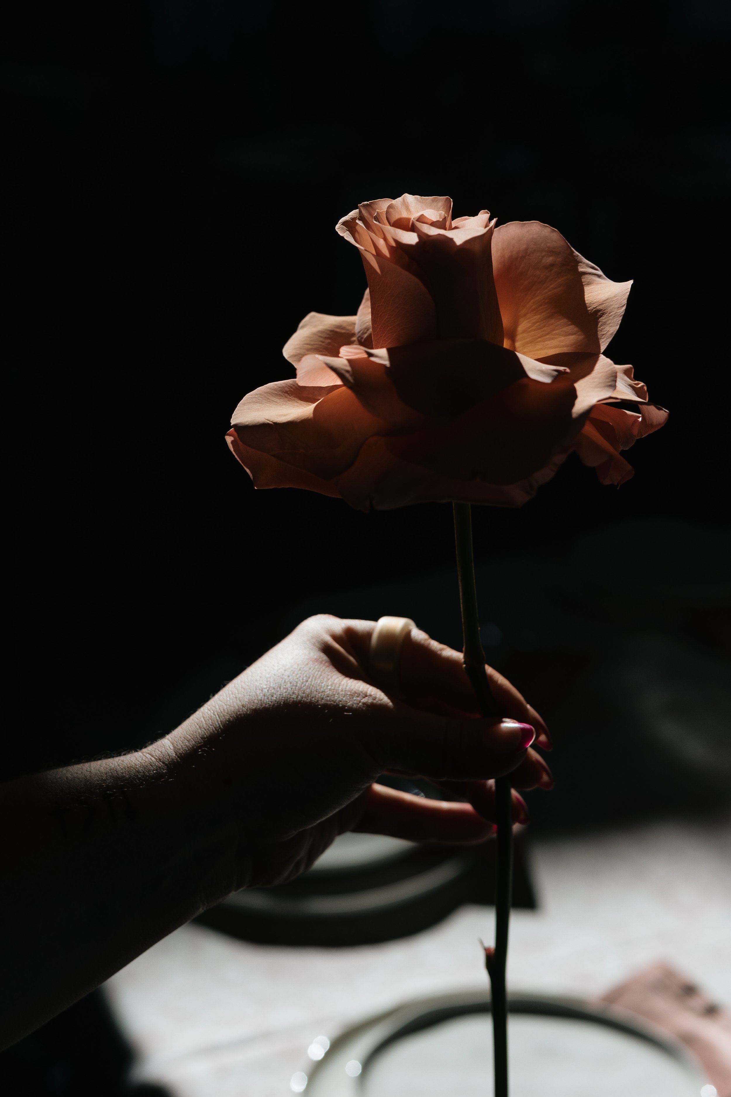 A hand holding a peach-colored rose against a dark background with dramatic lighting.