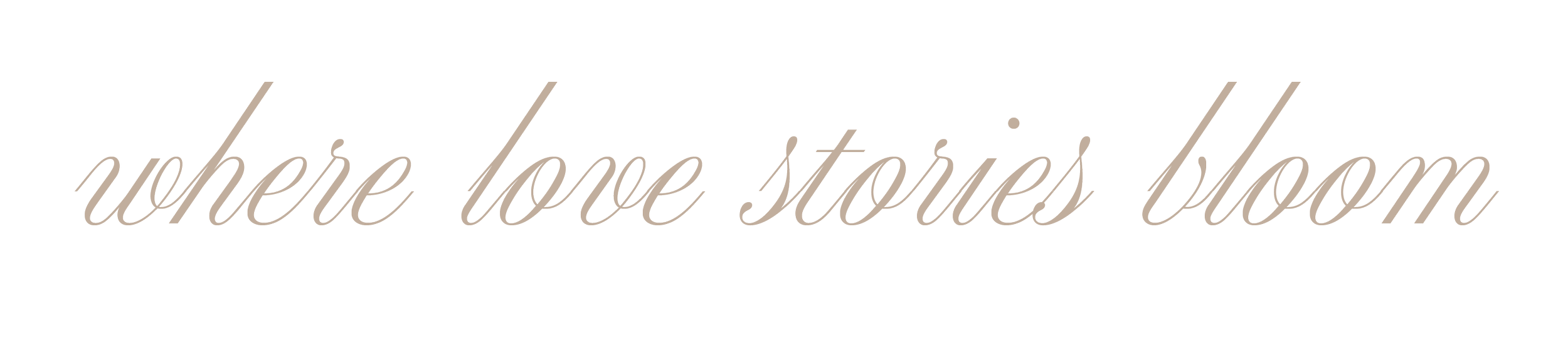 Text that reads 'where love stories bloom' in cursive font on a transparent background.