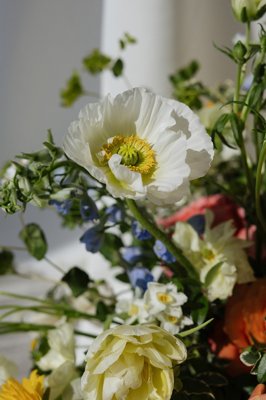 A close-up of various colorful flowers, prominently featuring a white poppy with yellow and green center.