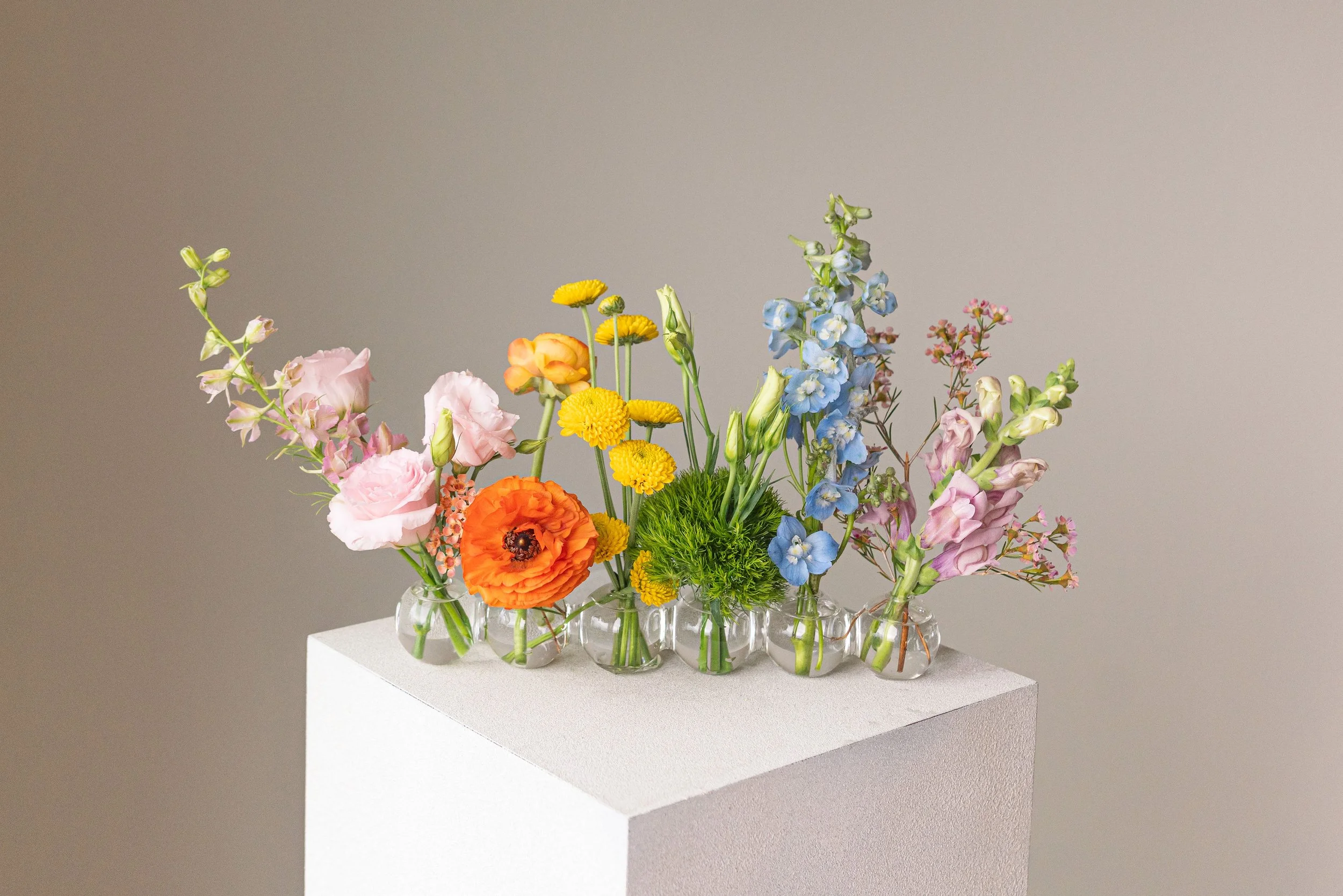 Caterpillar Arrangement