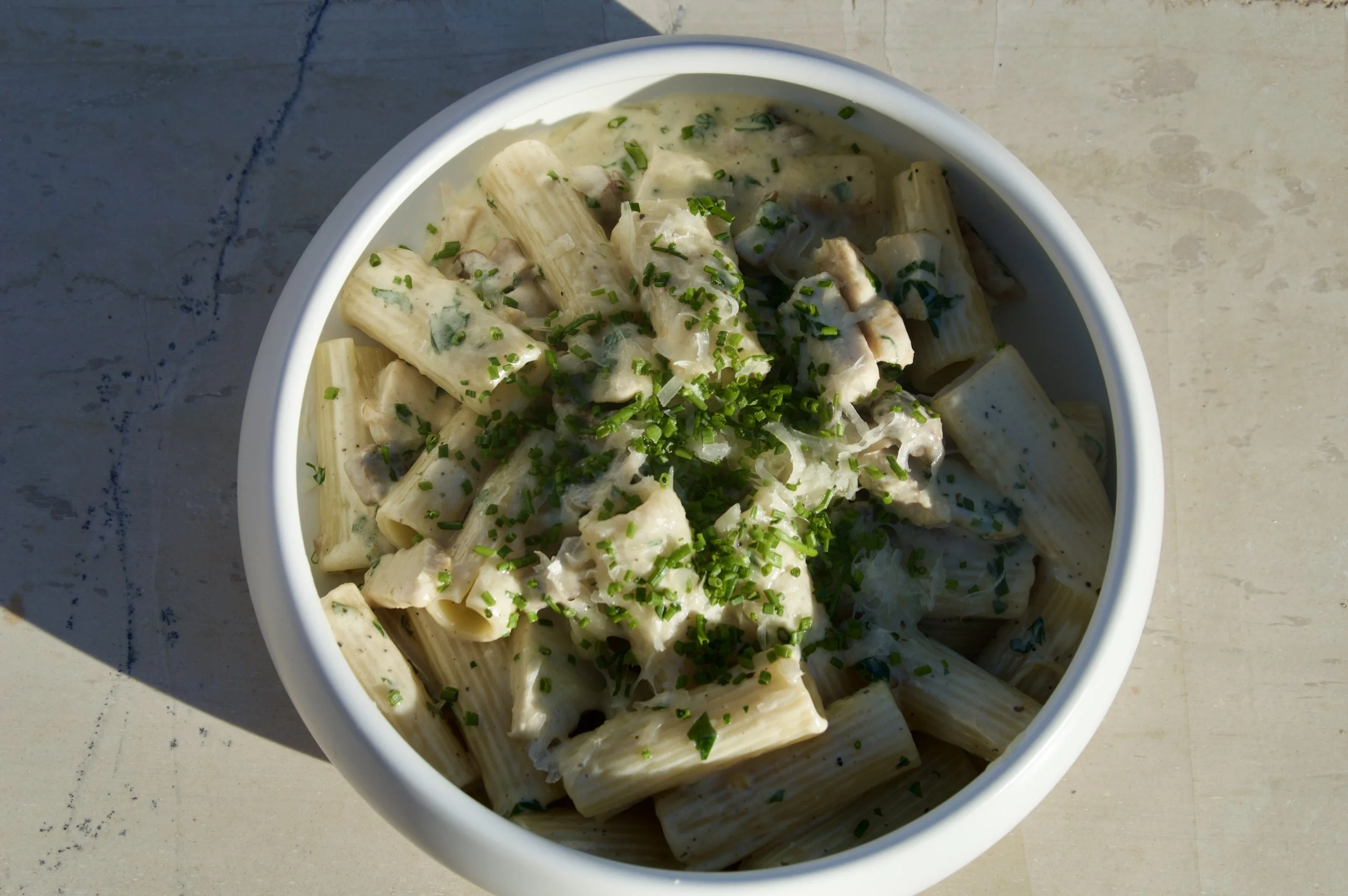 Photo 1-12-25, 15 15 24.jpg