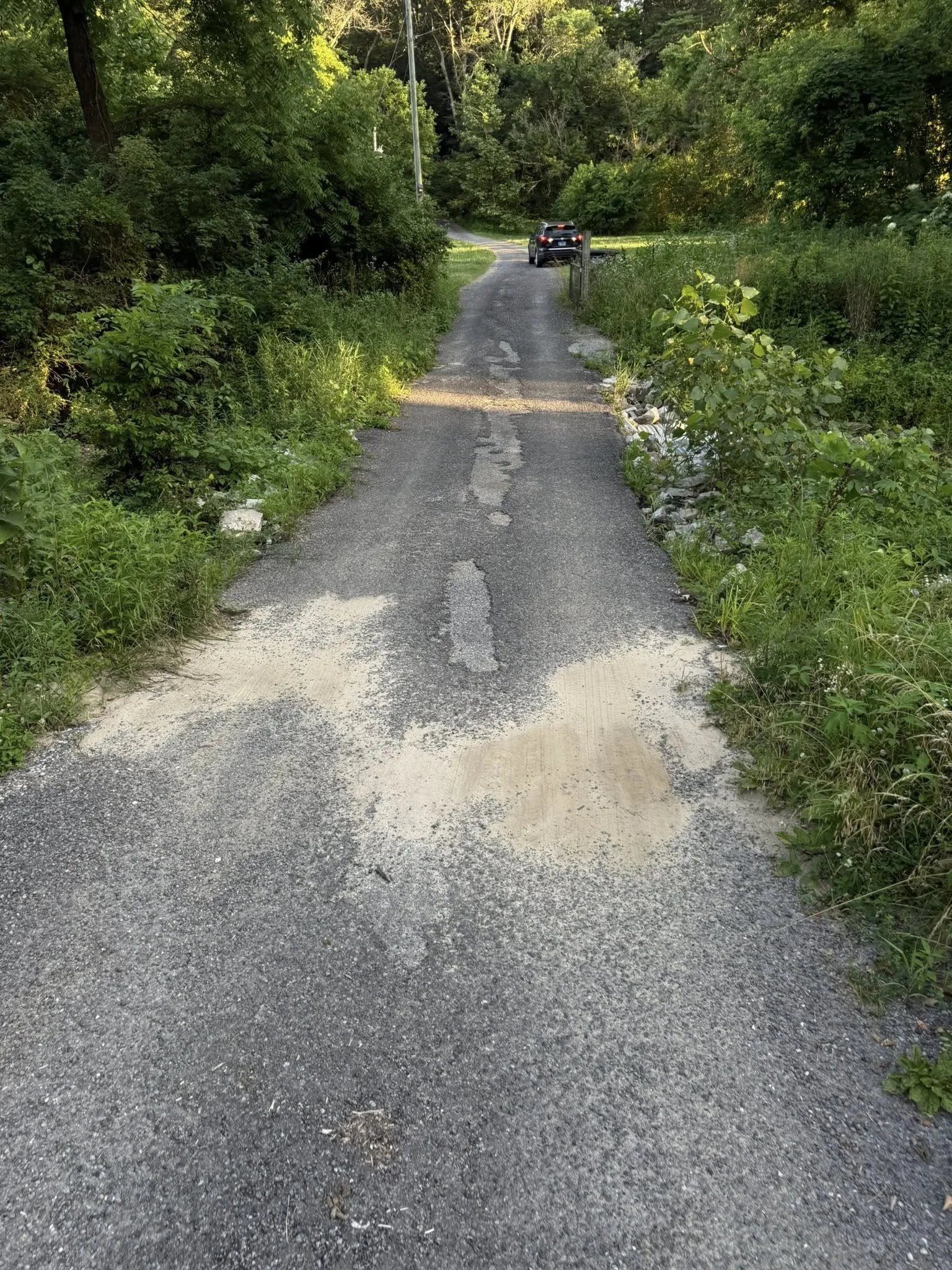Before
Overgrowth in Driveway/Creek Entrance