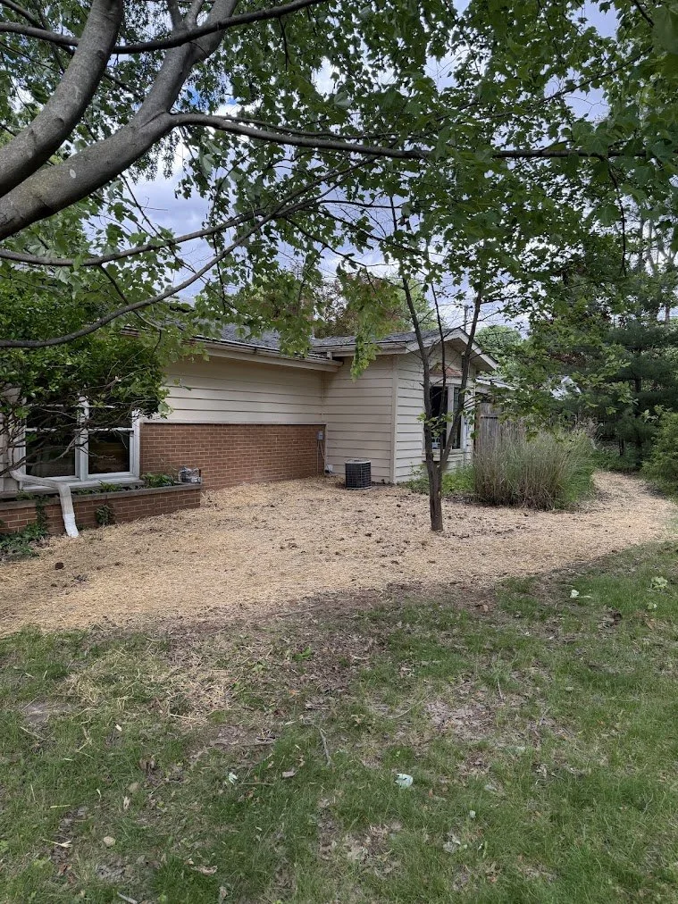 Backyard with a house, trees, and a patch of dirt