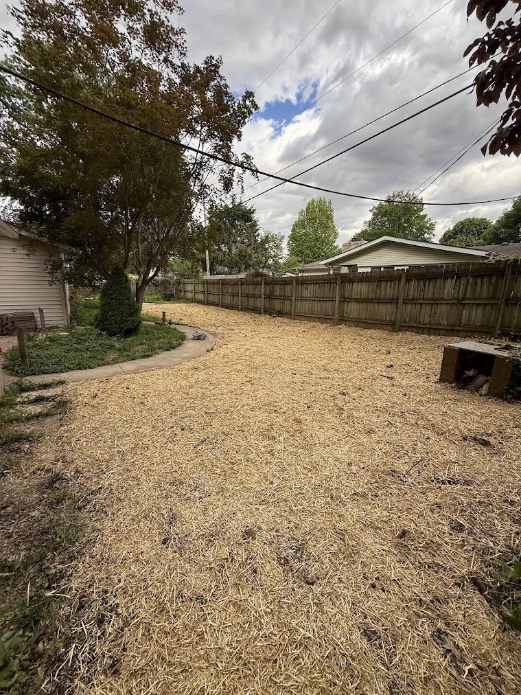 Backyard with a path, trees, and a wooden fence, under a partly cloudy sky.