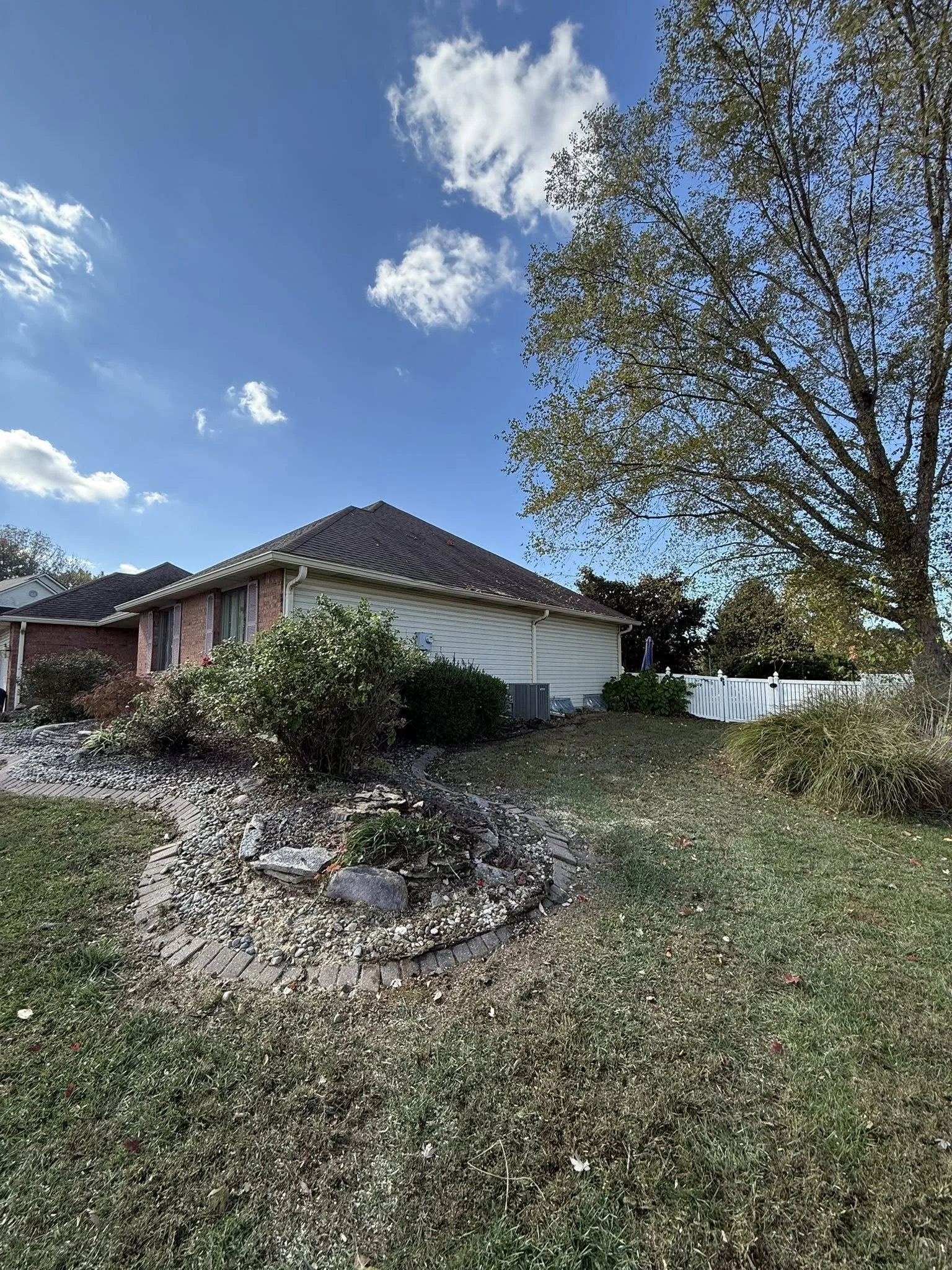 After
Tree Safely Removed