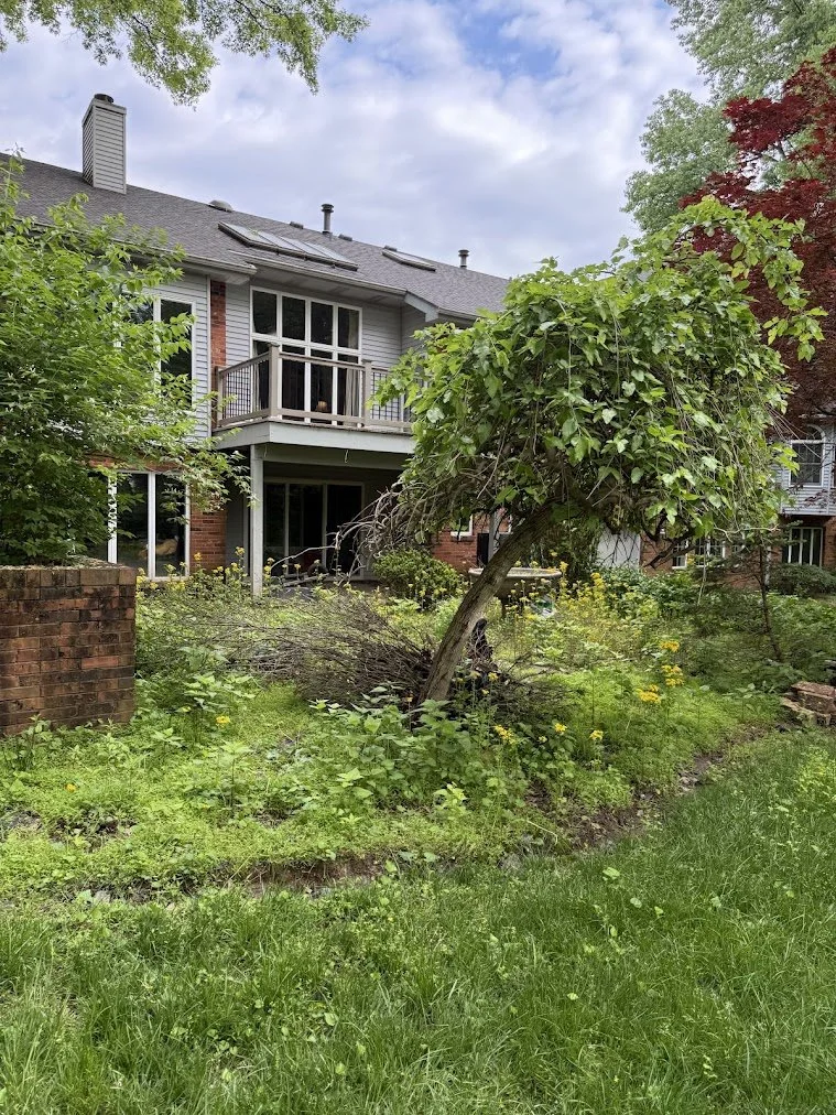 A two-story house with a brick and gray exterior, a small wooden balcony, and solar panels on the roof. The backyard has a leaning tree surrounded by green grass and plants.