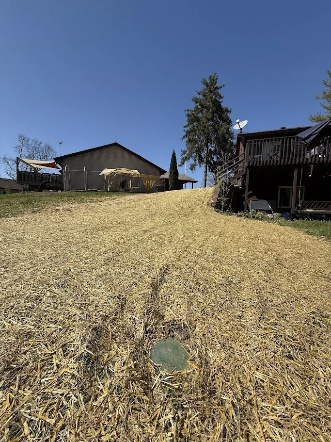 Backyard yard with dry grass, two houses in the background, tall trees, and clear blue sky.