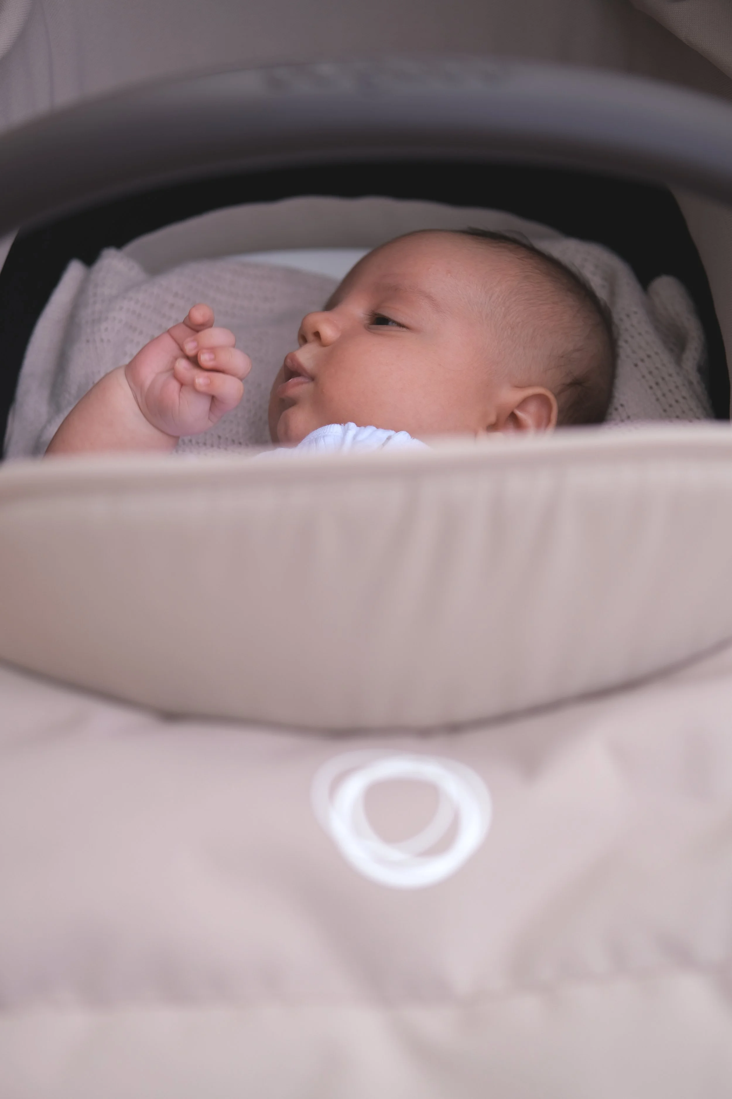 Bugaboo23.jpg