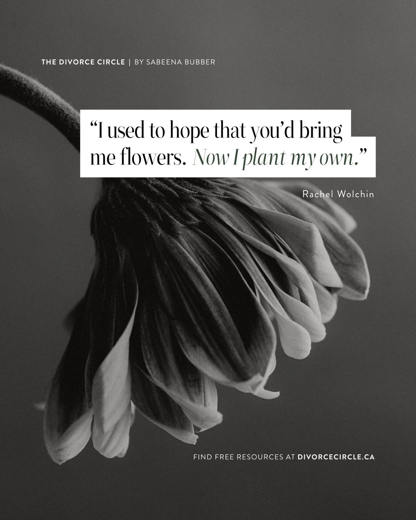 &ldquo;I used to hope that you&rsquo;d bring me flowers. Now I plant my own.&rdquo; &mdash; Rachel Wolchin⁠
⁠
Spring is a season of growth, and that includes you.⁠
⁠
After divorce, it&rsquo;s easy to wait for life to hand you joy or validation. But r