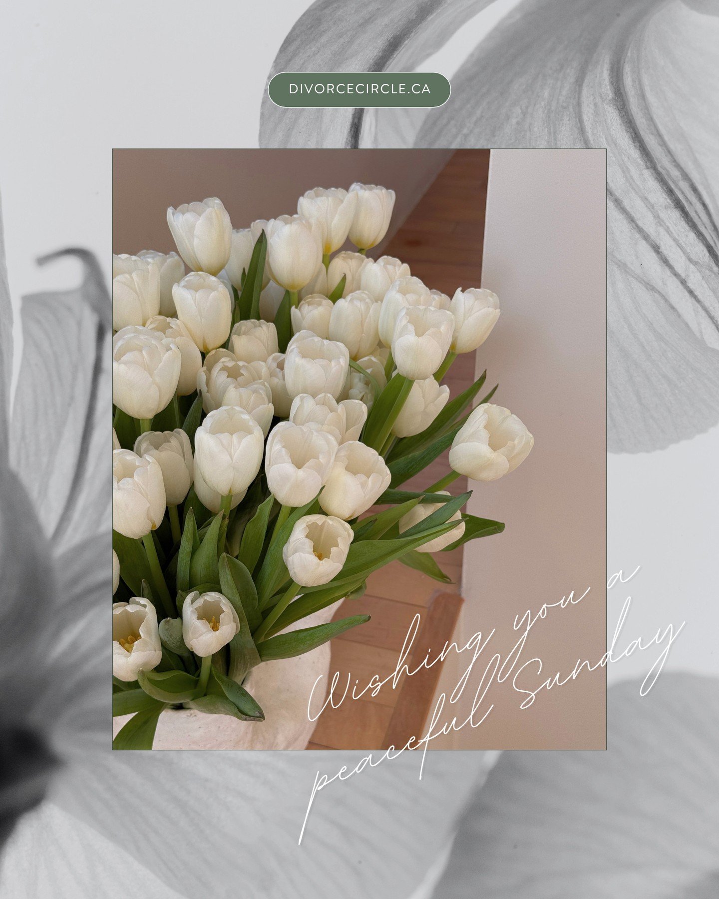 Easter is a season of life and growth, but sometimes the "new" can feel a bit overwhelming.⁠
⁠
If you&rsquo;re experiencing a "first" this holiday, first dinner in a new place or first time co-parenting through a long weekend, tak