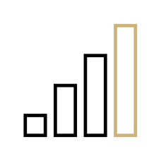 Data_icon_largest_bar_outline_gold.png