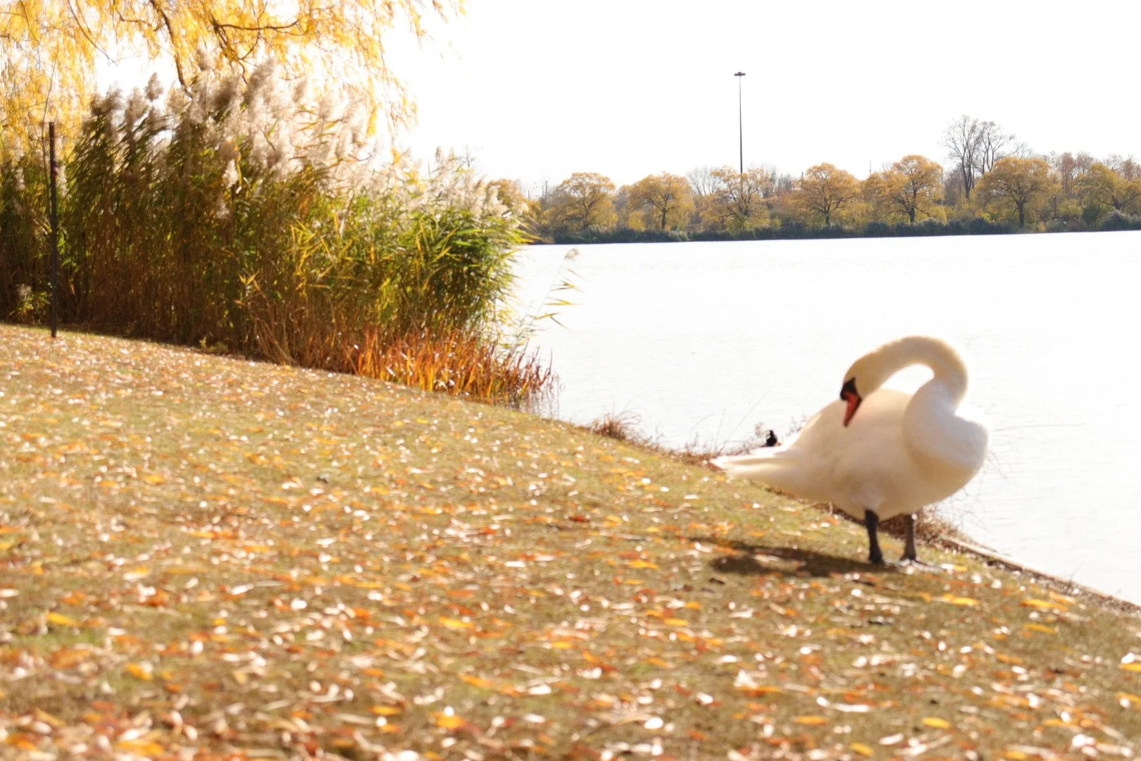 landscape photography