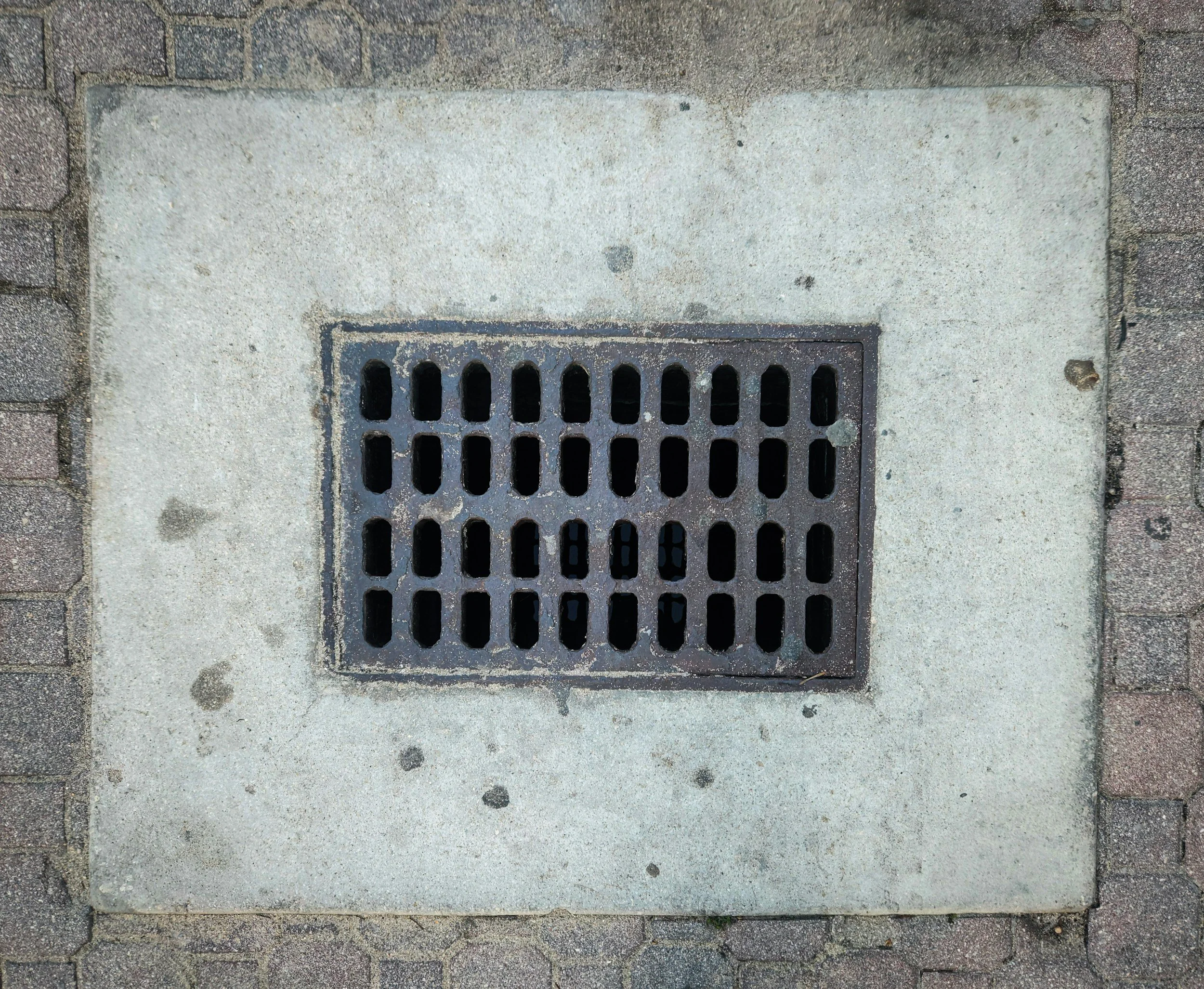 A square storm drain cover set into a concrete sidewalk, surrounded by paving stones.