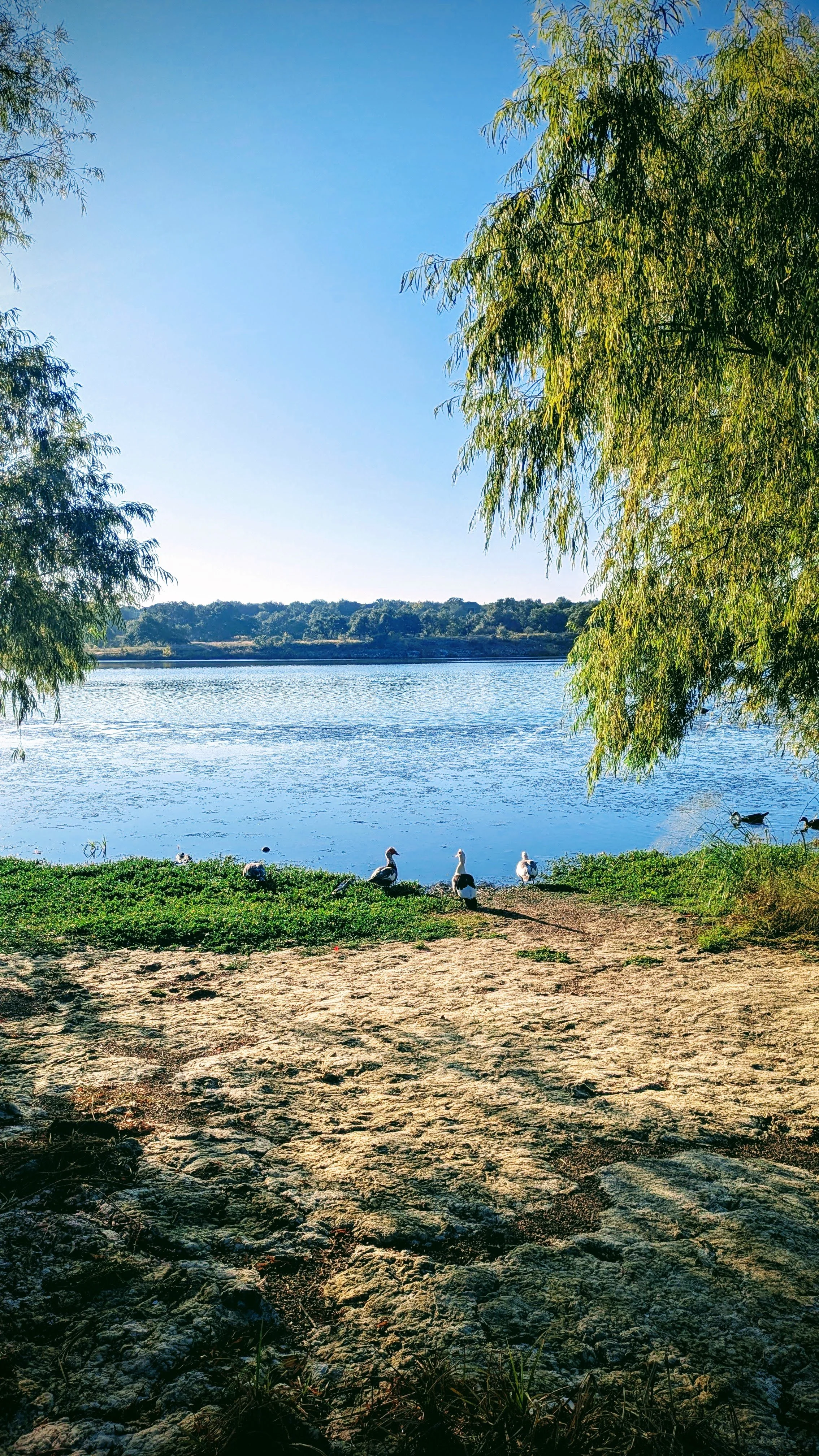 Reclaiming My Self-Care