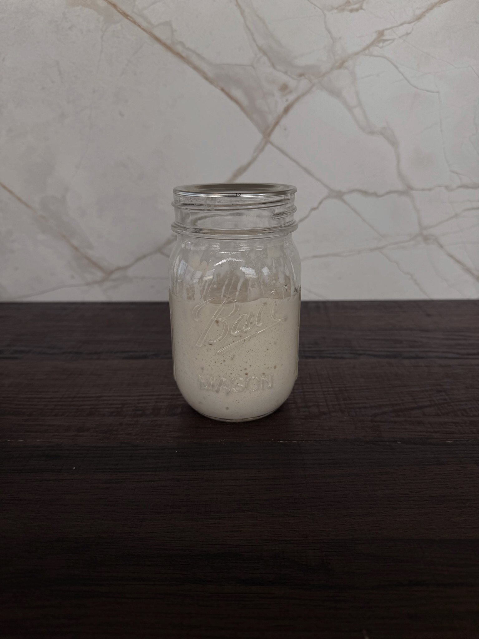 Sourdough Starter