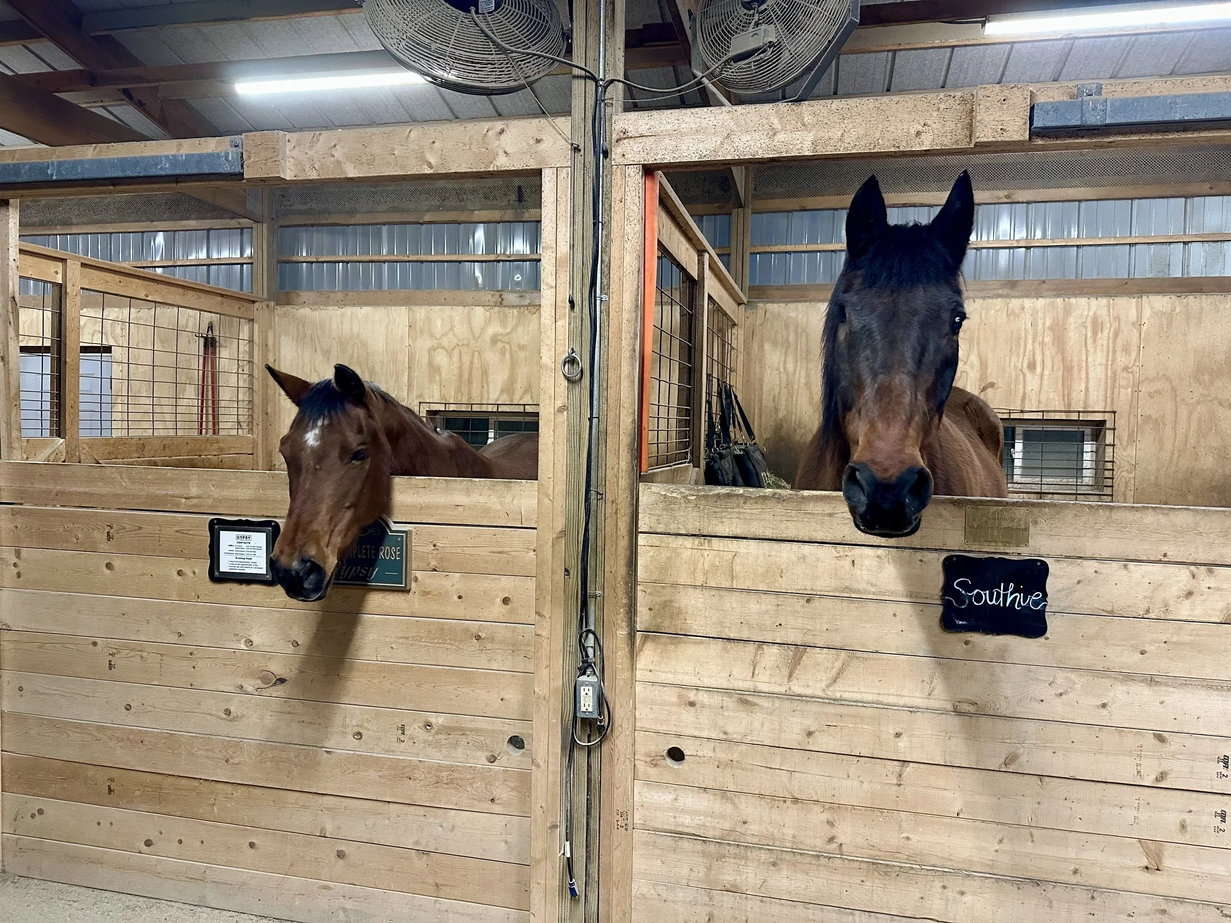 Stall Boarding Option 2