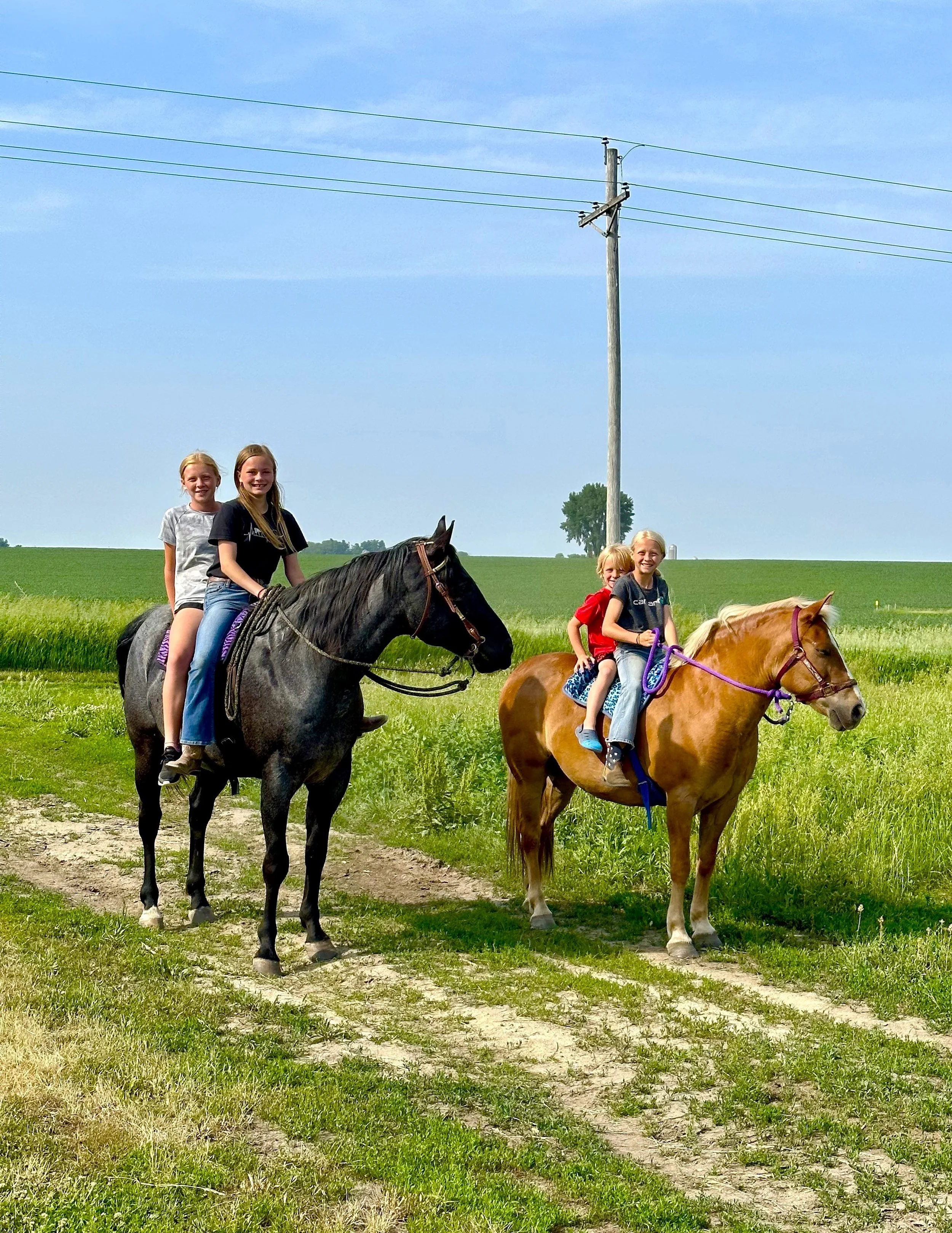 Two girls riding black and brown horses on a grassy trail in a rural area with green fields and a utility pole in the background.