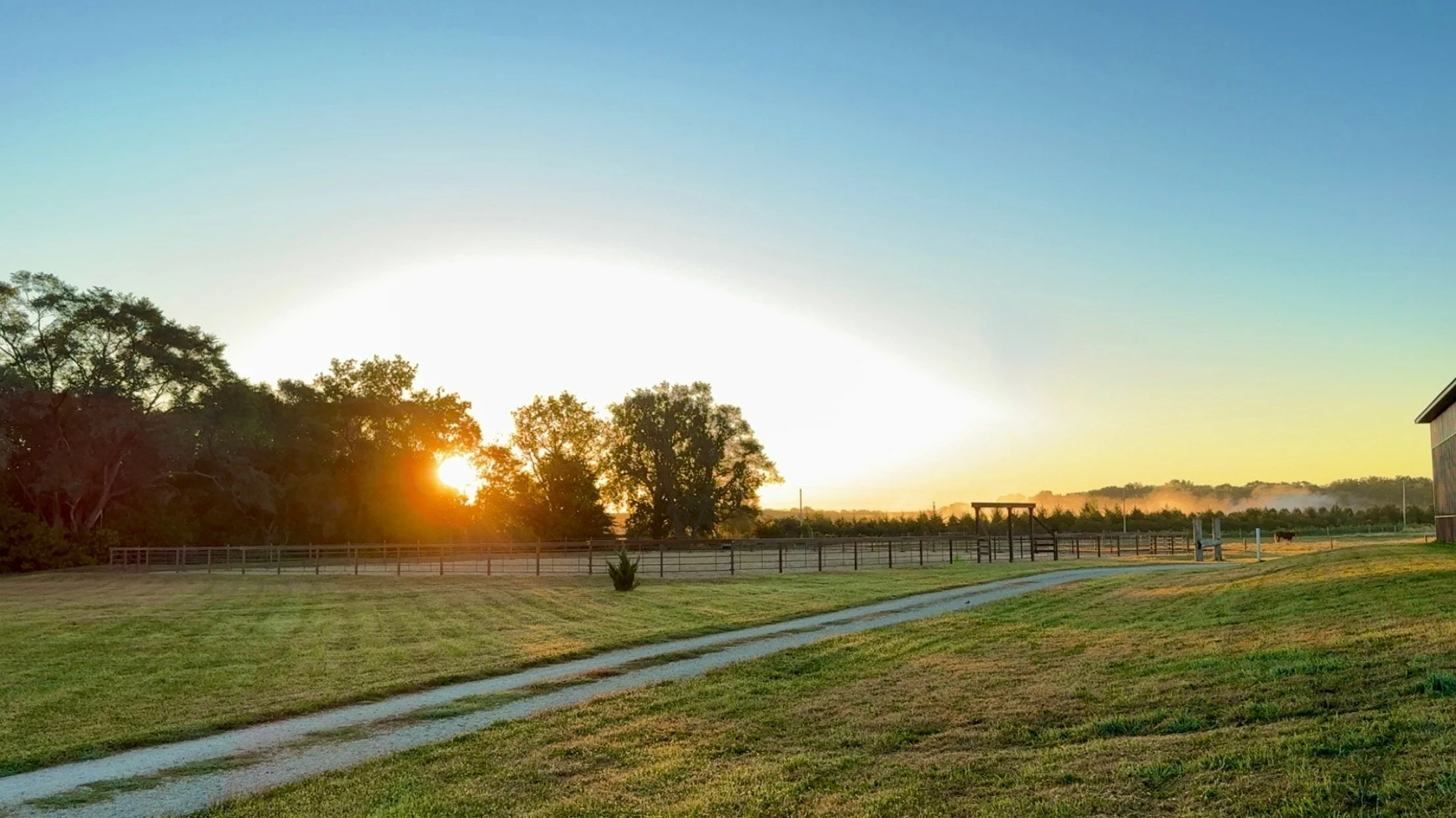 Sunset over a farm with a grassy field, a gravel path, trees, a wooden fence, a barn, and a horse in the distance.