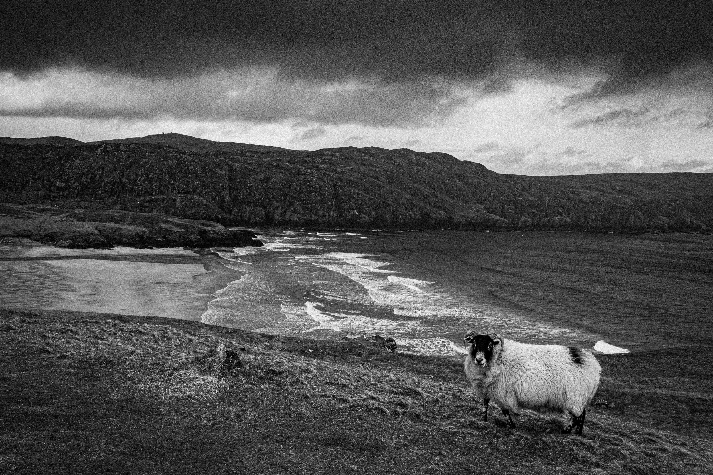 Scotland-25.jpg