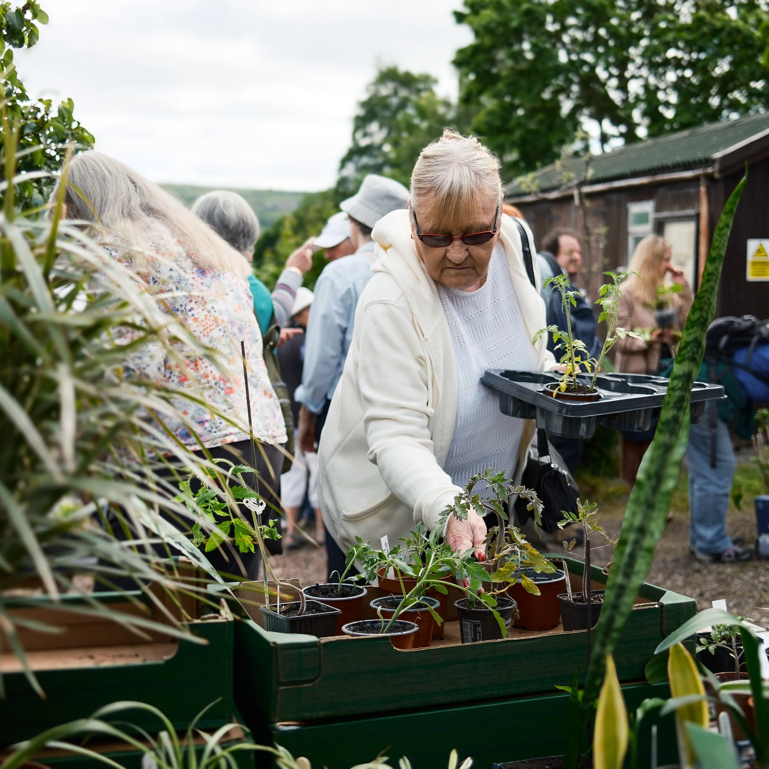 Plant sale-14.jpg