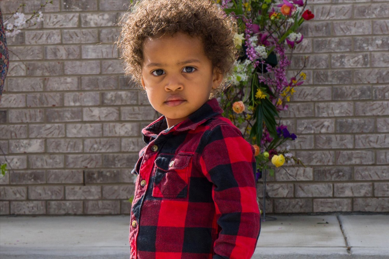 17-17-Lily Grand Opening-2868579-.jpg