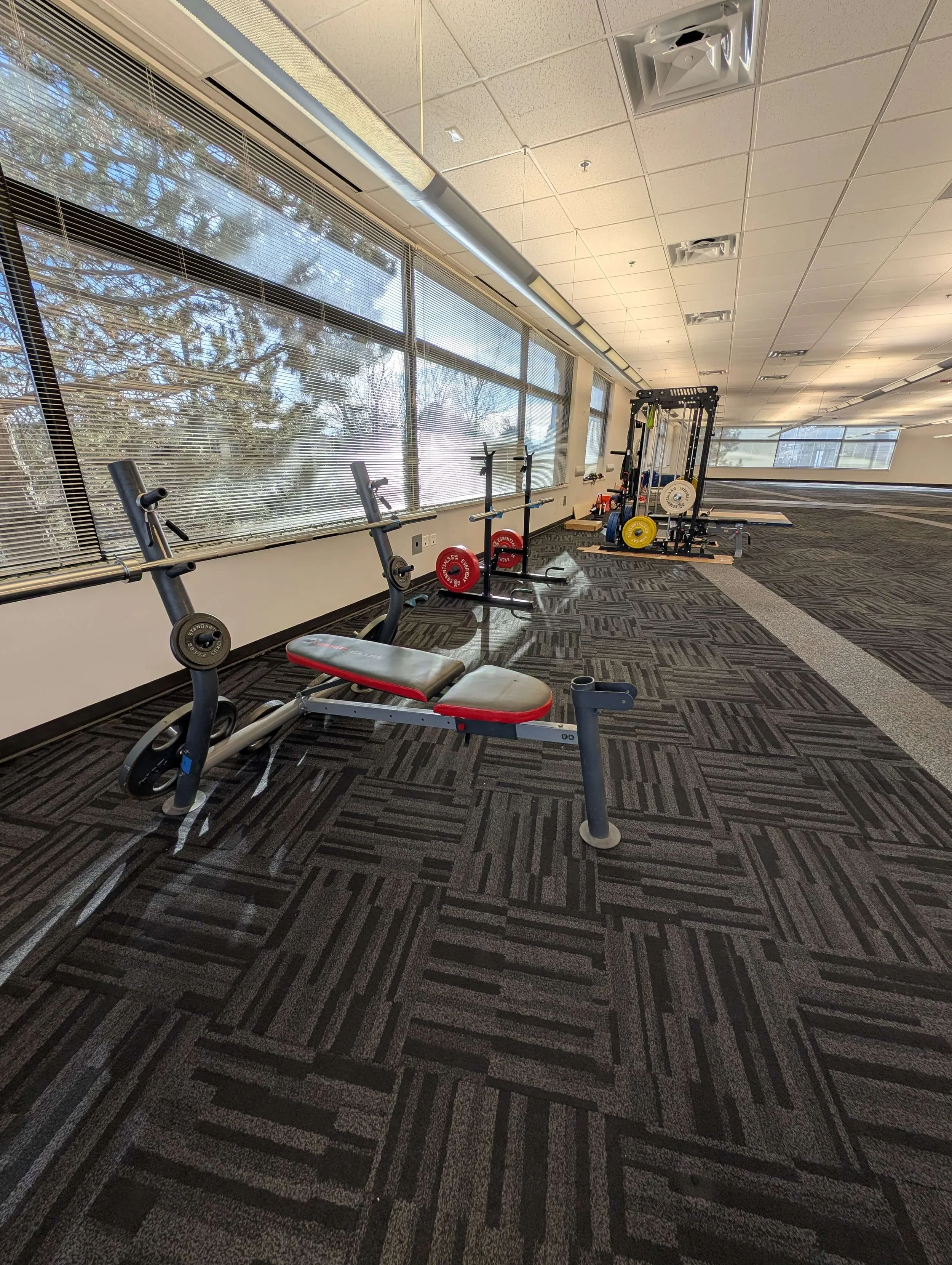 Empty gym area with exercise equipment, including a bench press, barbells with weight plates, and a squat rack, near large windows showing trees outside.