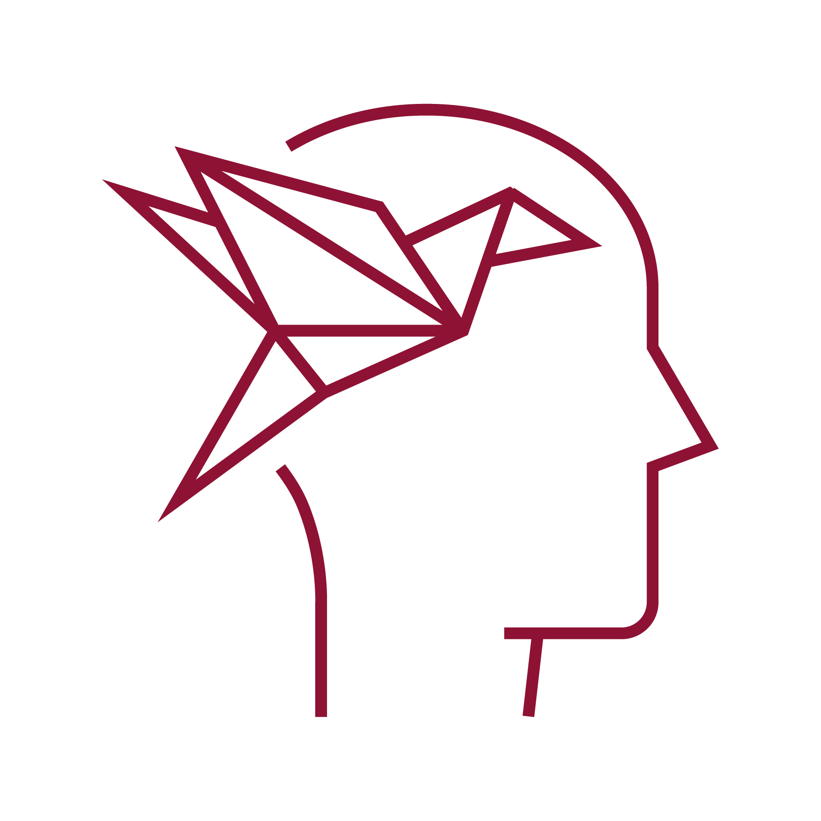 Developmental or Medical Concerns