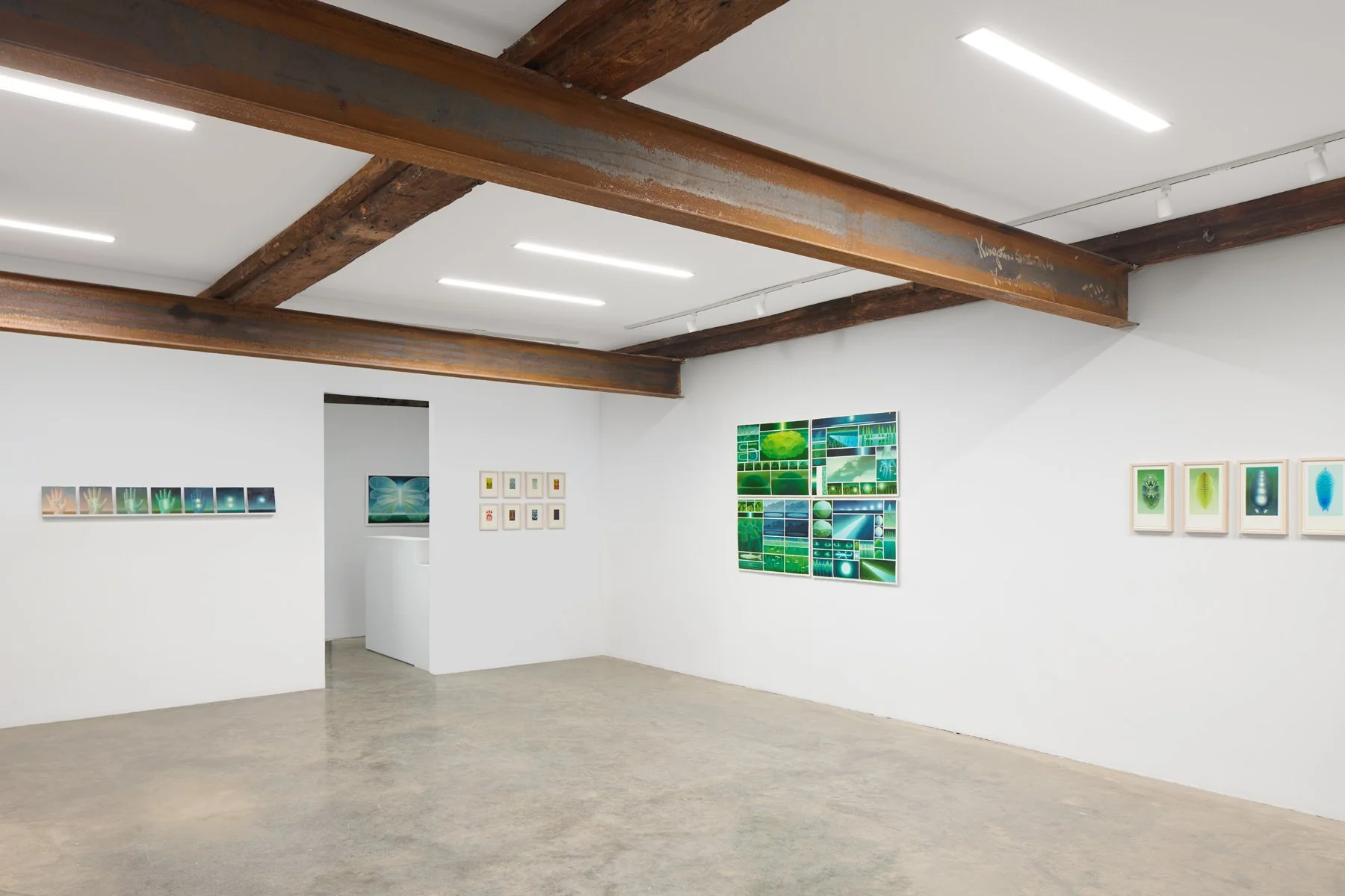 Headstone Gallery, Kingston NY. View of Ash Eliza Williams' solo exhibition,
Dreams of a Night Beetle.