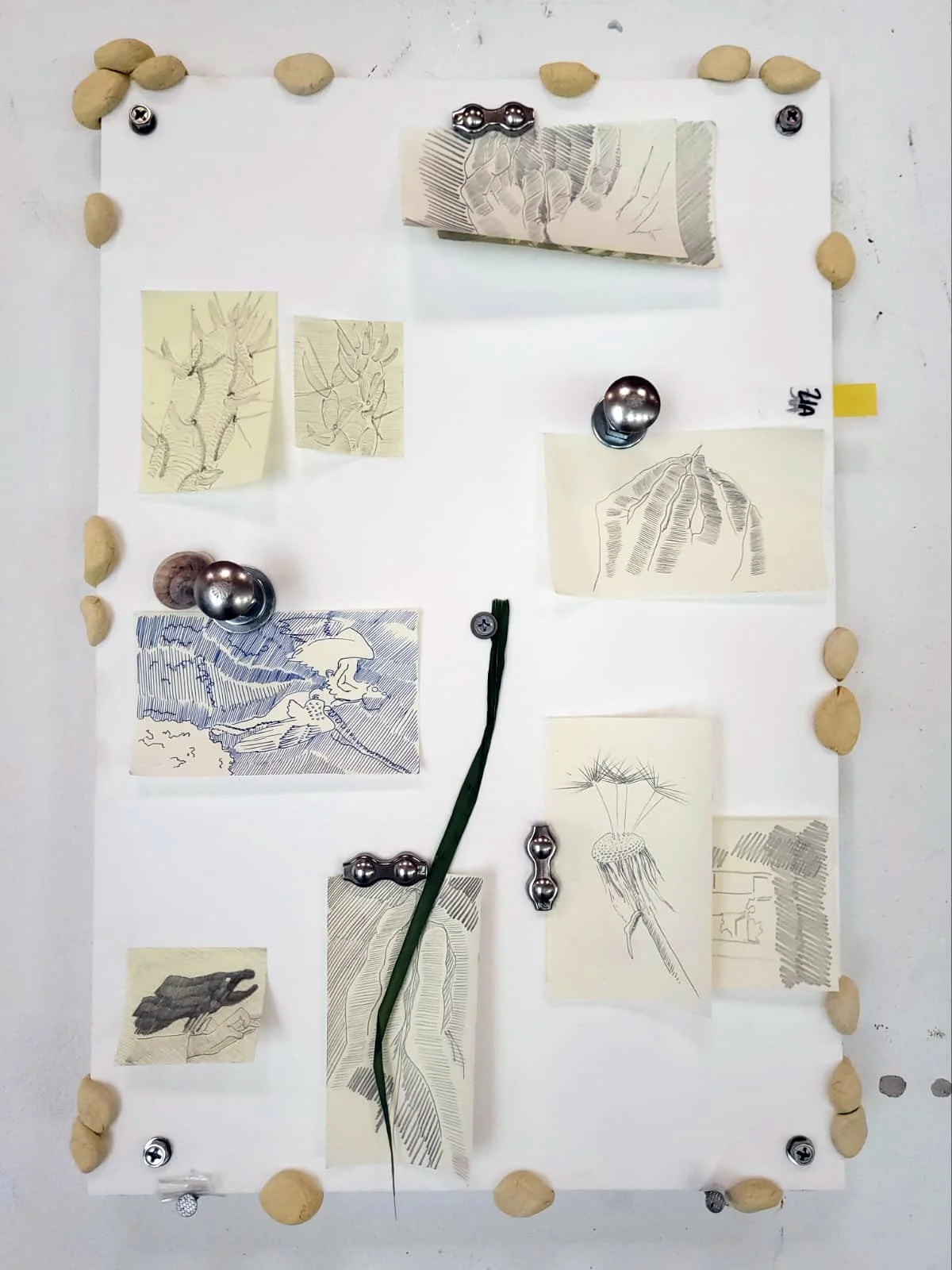 Untitled - Alex McNamee - SPG (3).jpeg