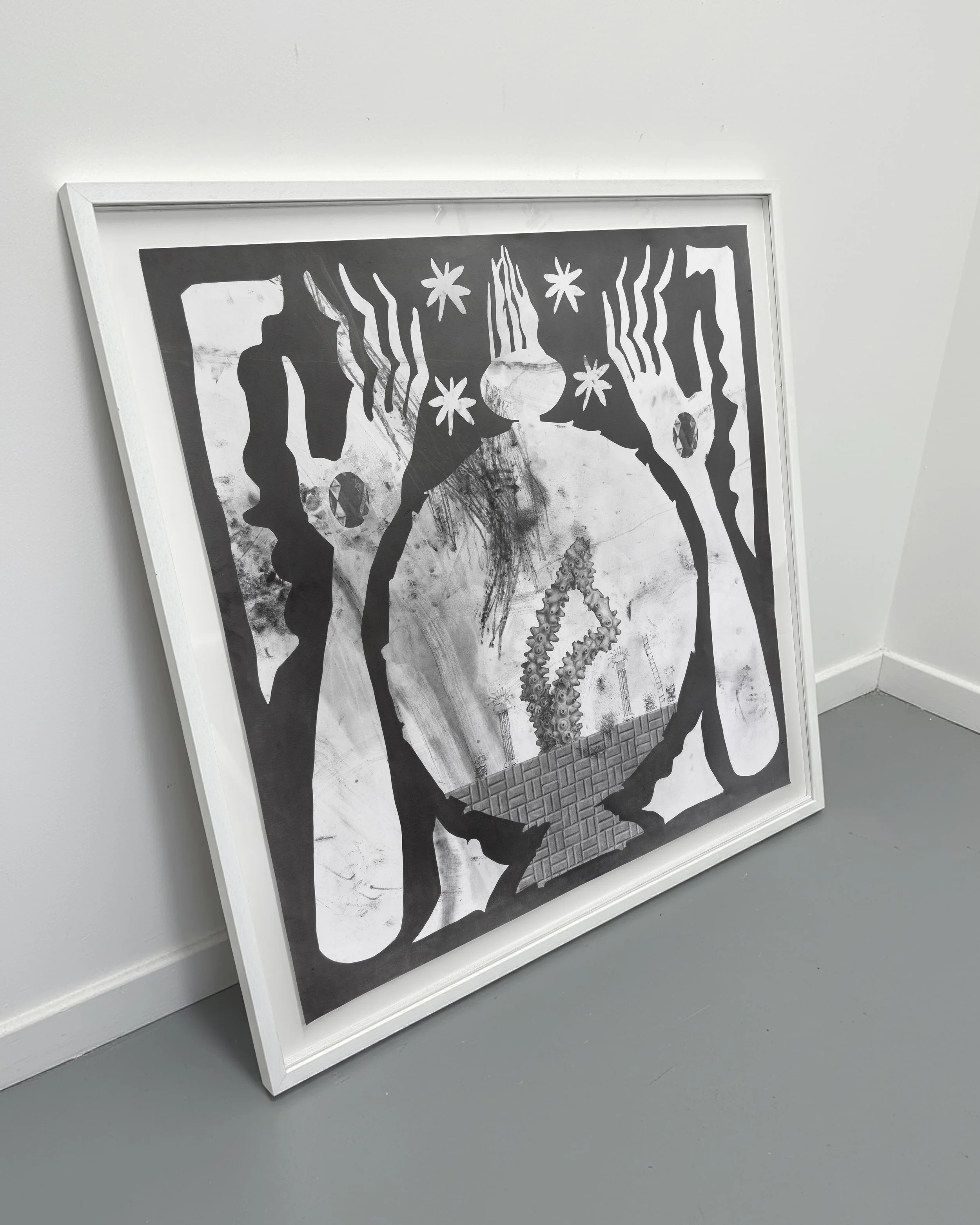 Acropora Tableau frame side large.jpg