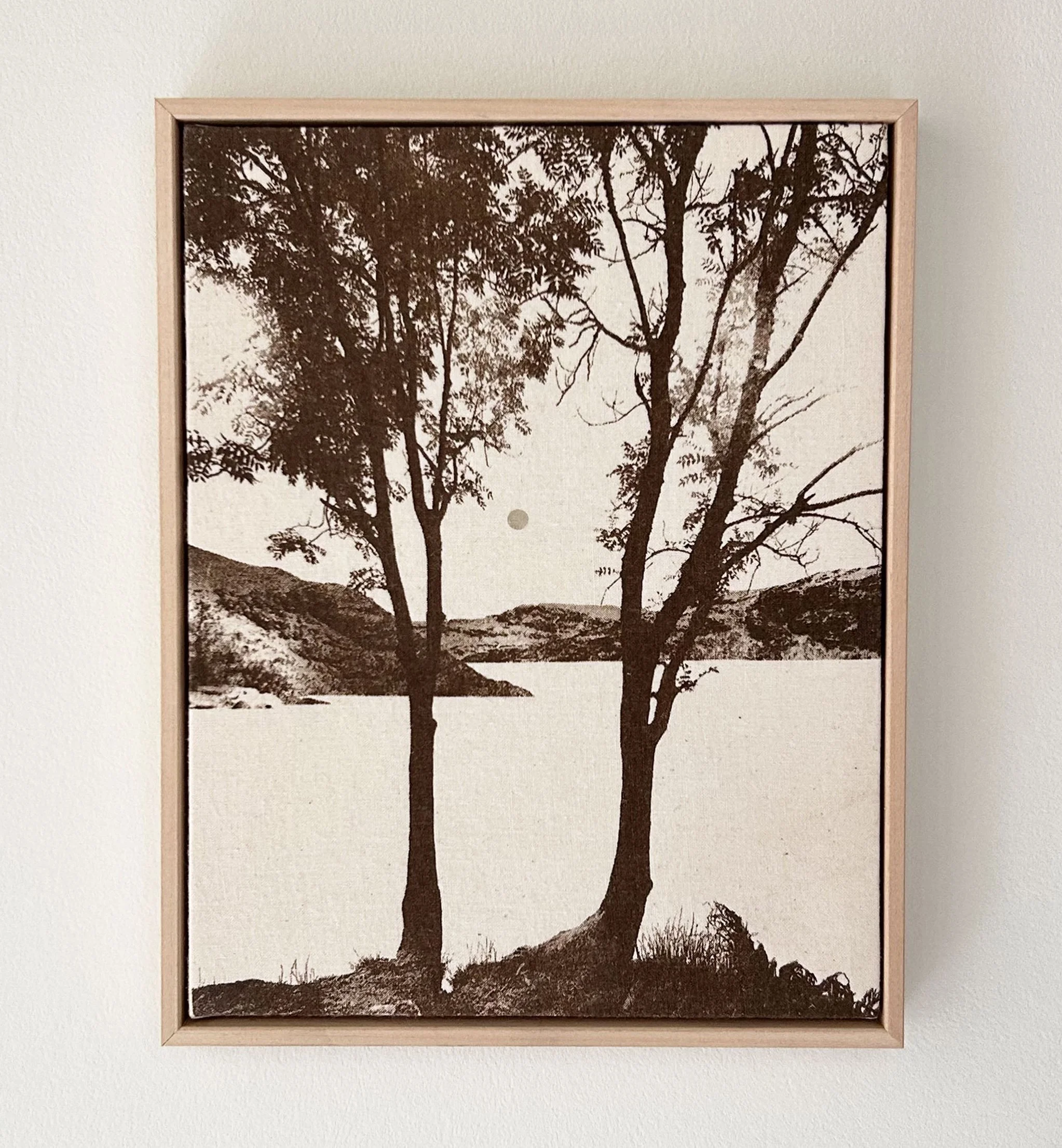 Night Forest | Sherrie-Leigh Jones