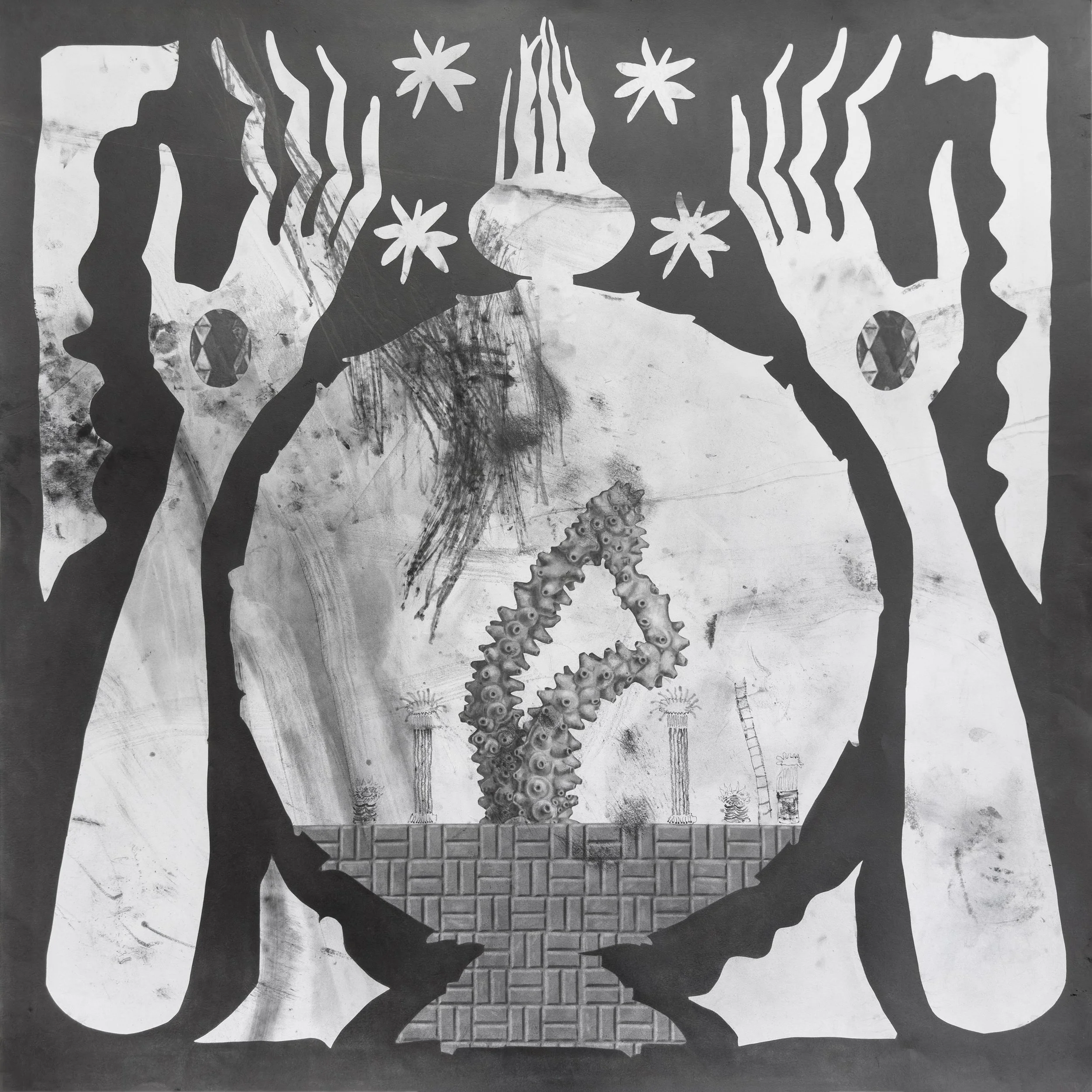 Acropora Tableau Square.jpg