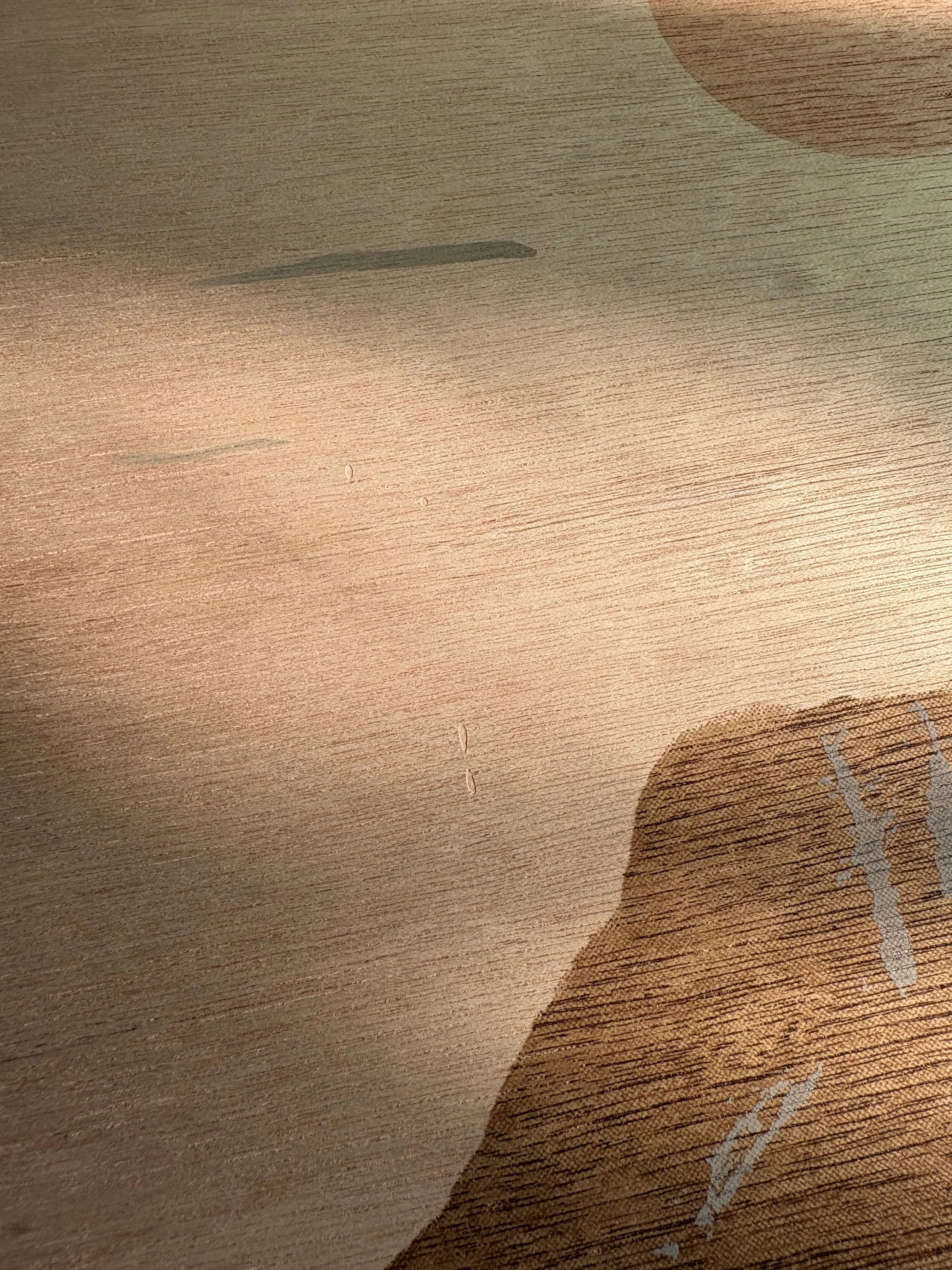 Still-Air-Detail-Sherrie-Leigh-Jones.jpg