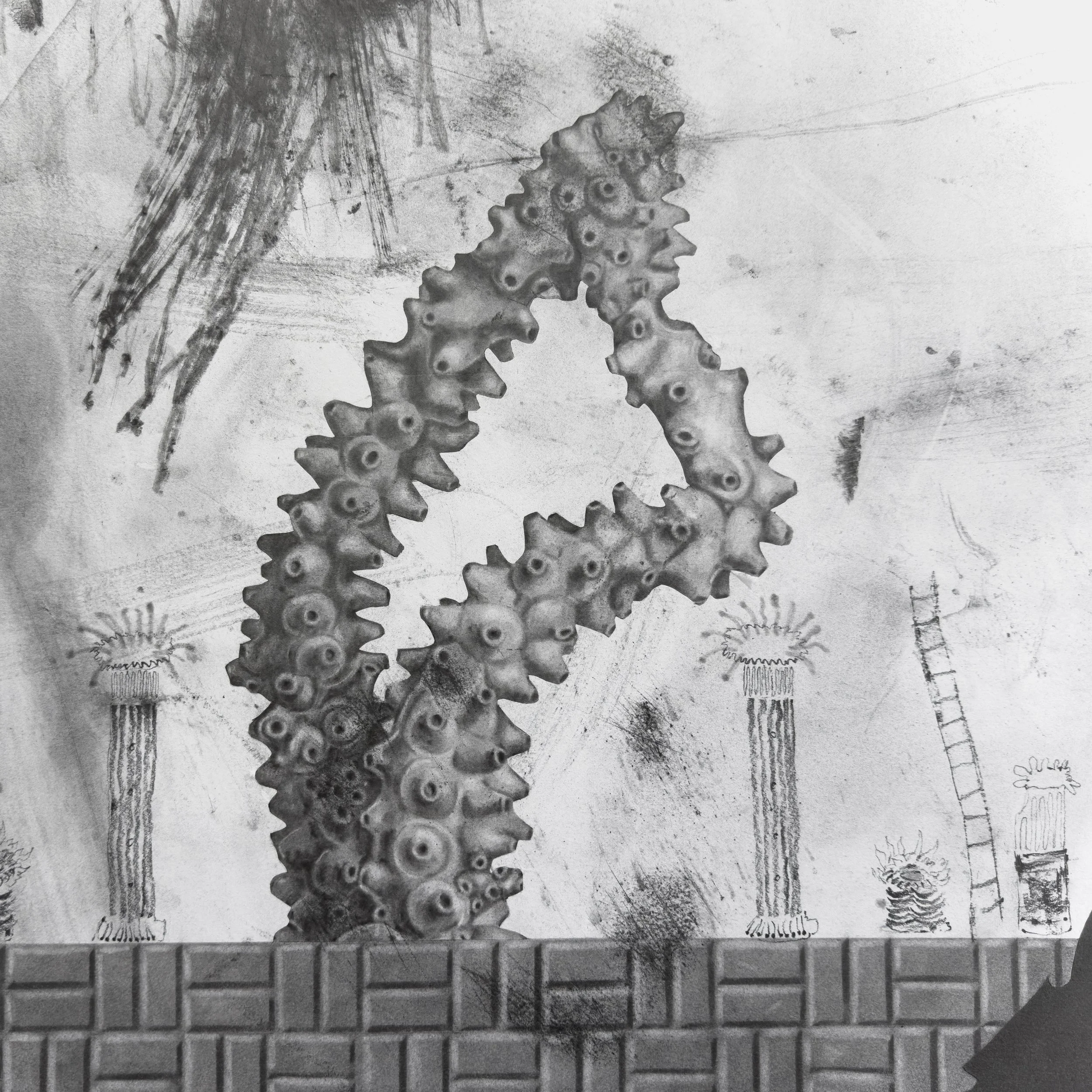 Acropora Tableau Detail 01.jpg