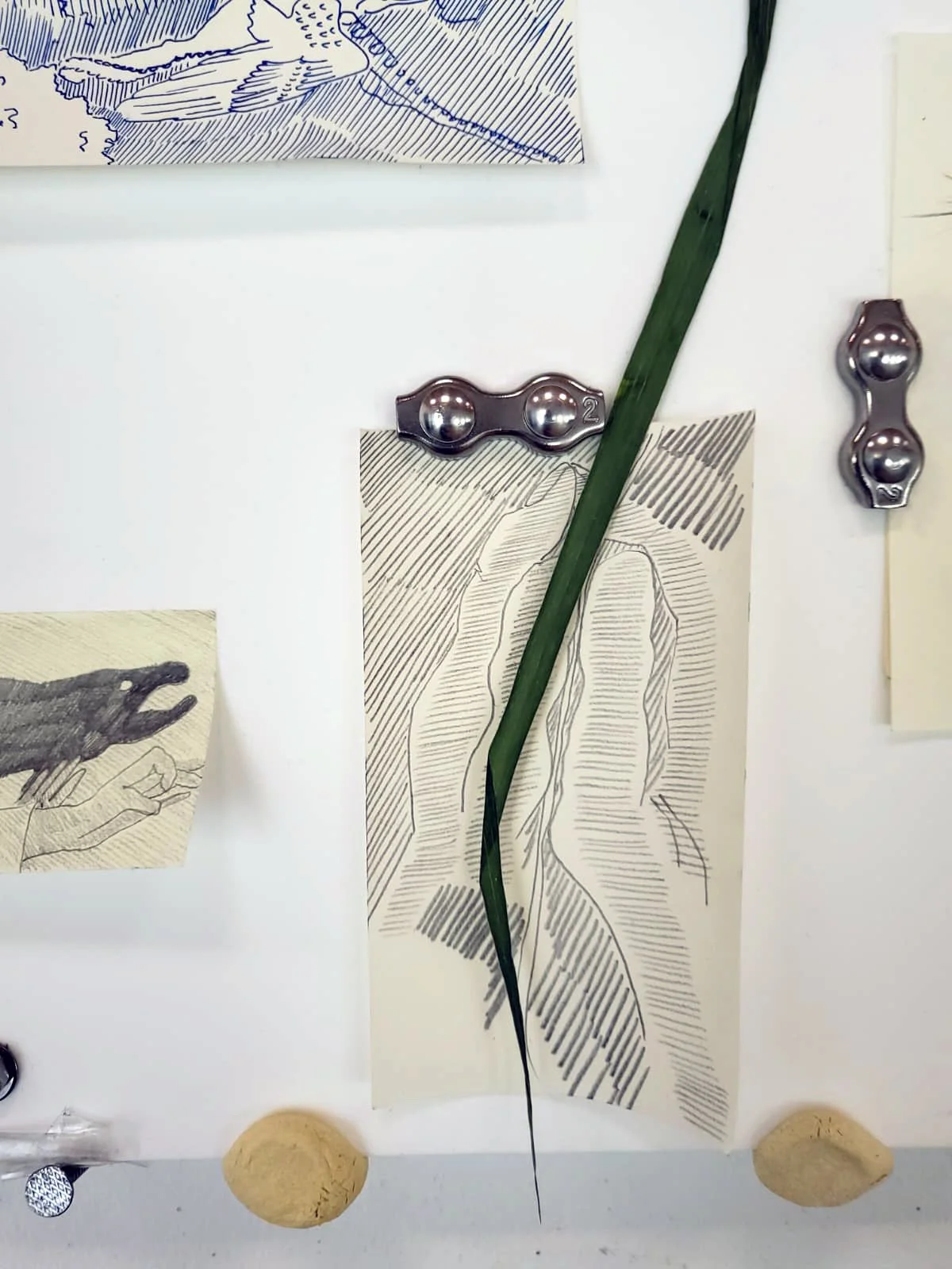 Untitled - Alex McNamee - SPG (2).jpeg